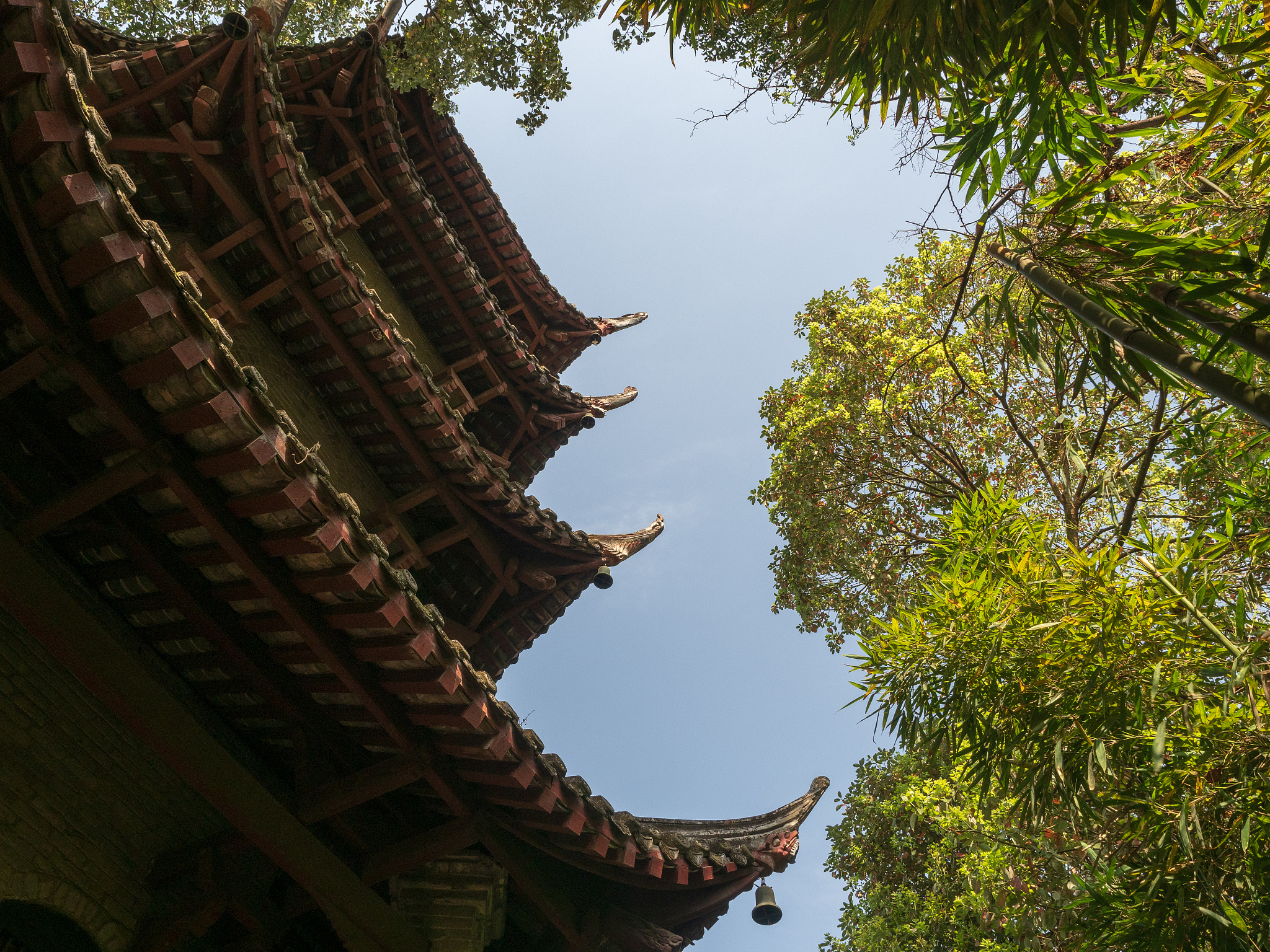 四川省最好的专科学校排名：推荐优质专科院校