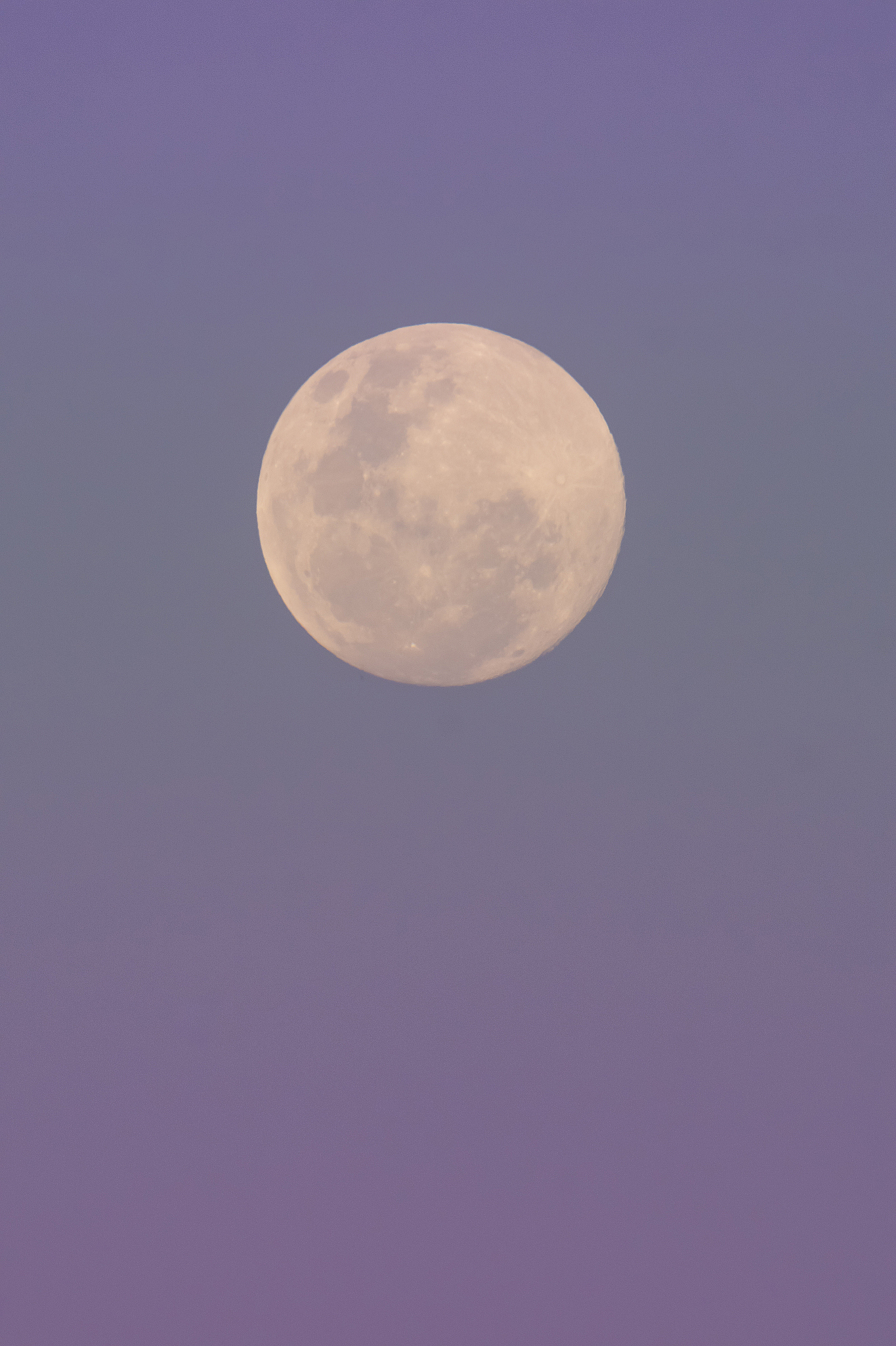 moonlight
