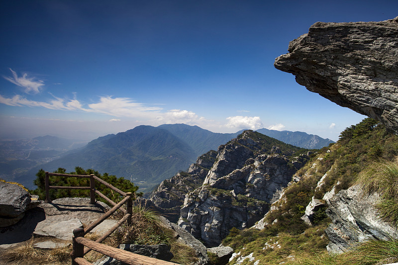 江西中医药大学招生办联系电话