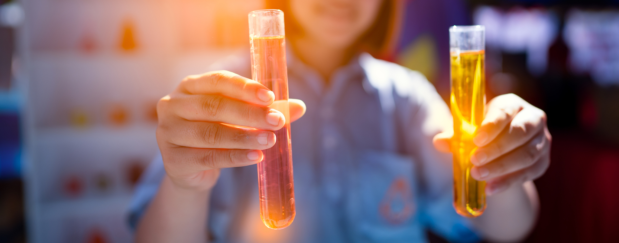 提高水稻分子检测实验效率，保障实验结果准确性的方法