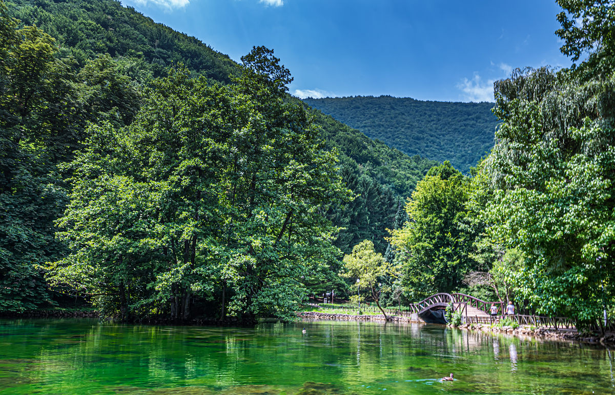 福建省'森林人家'建设启动时间判断题
