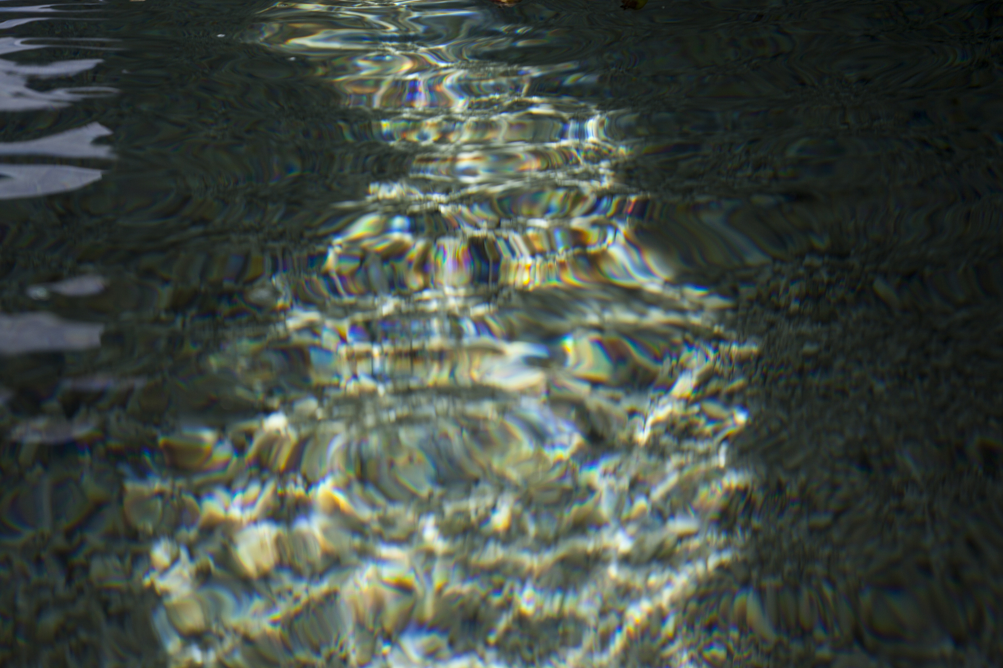 abstract surface of water