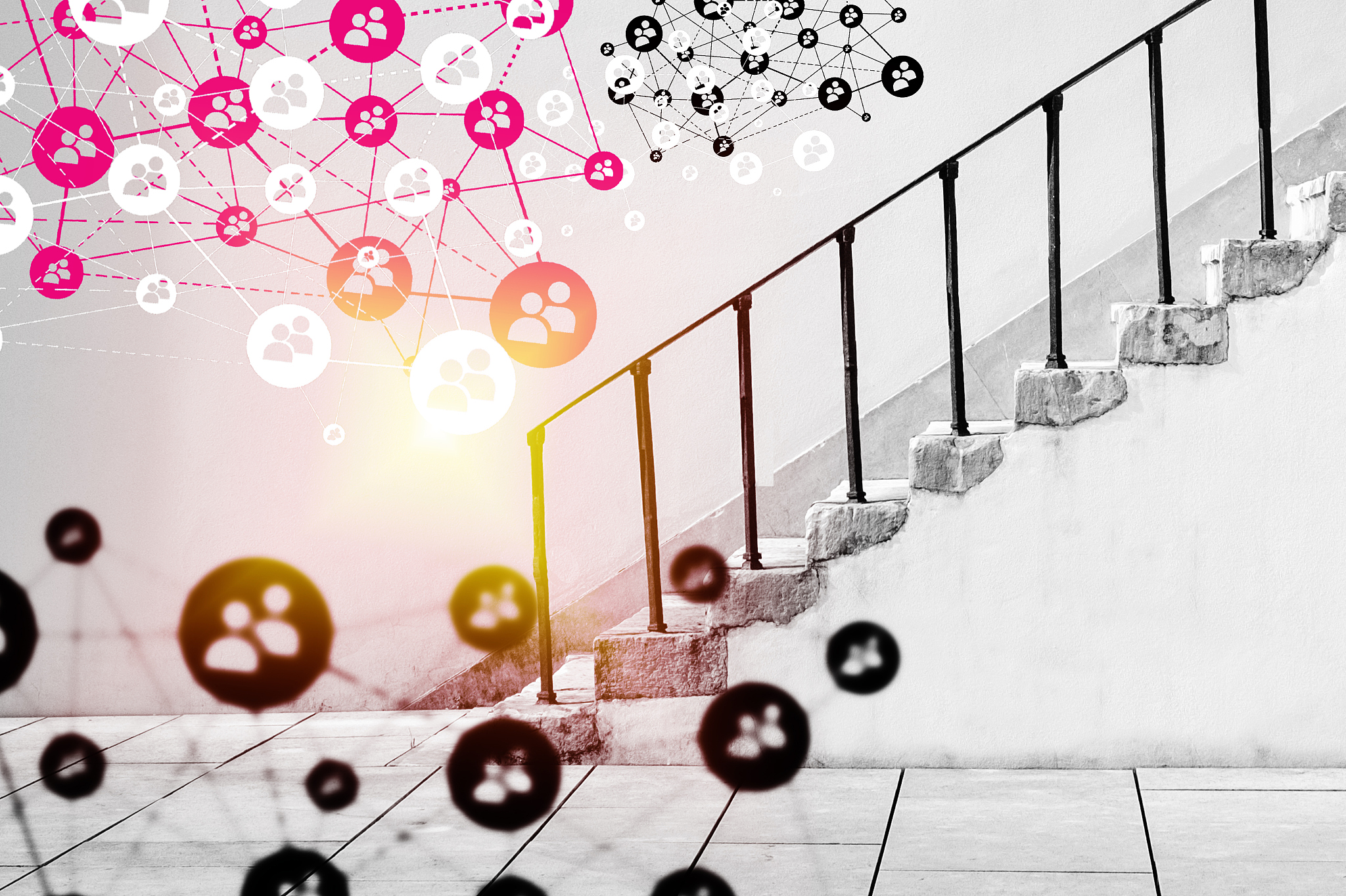 social media network