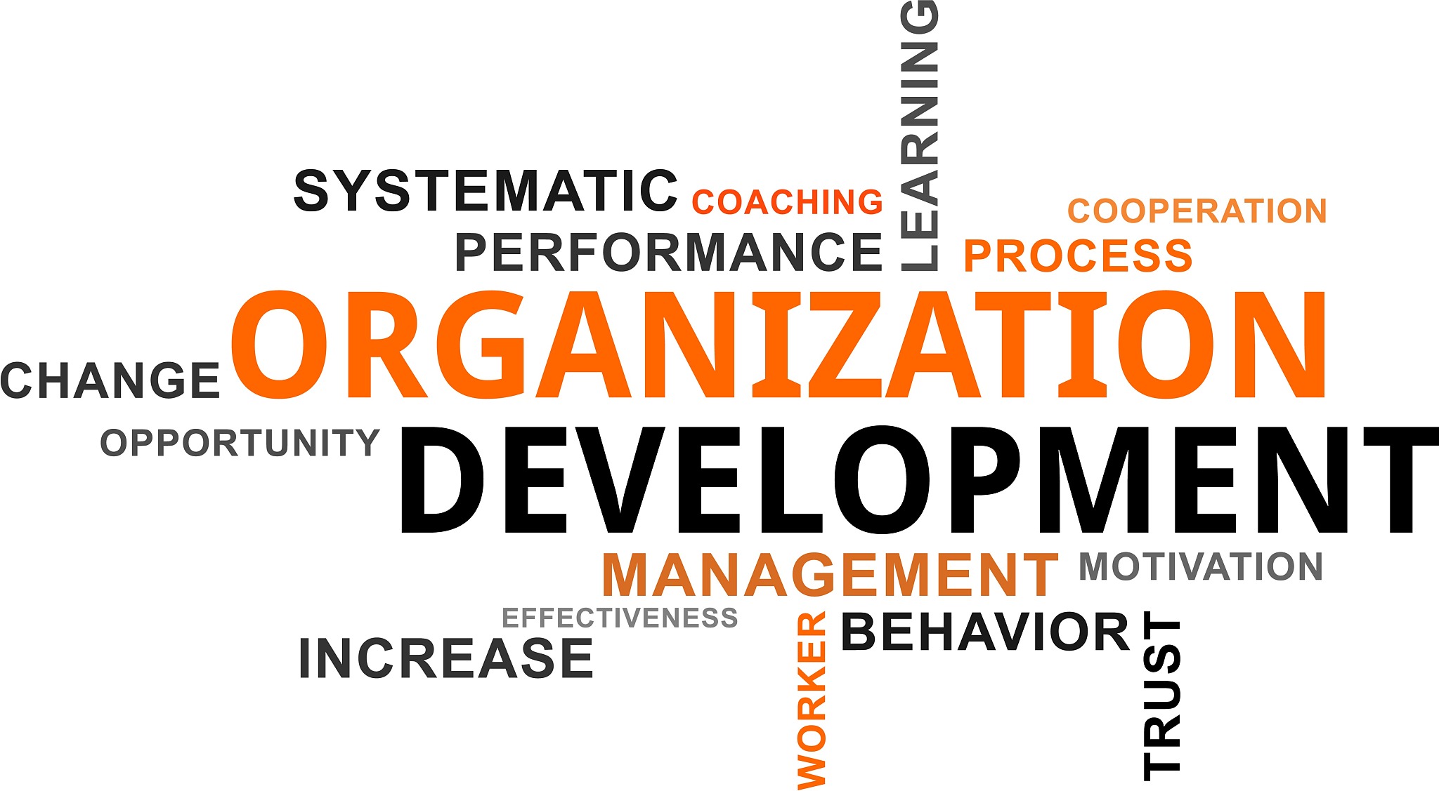 WEAR 期刊：服装、纺织品和时尚领域领先学术期刊