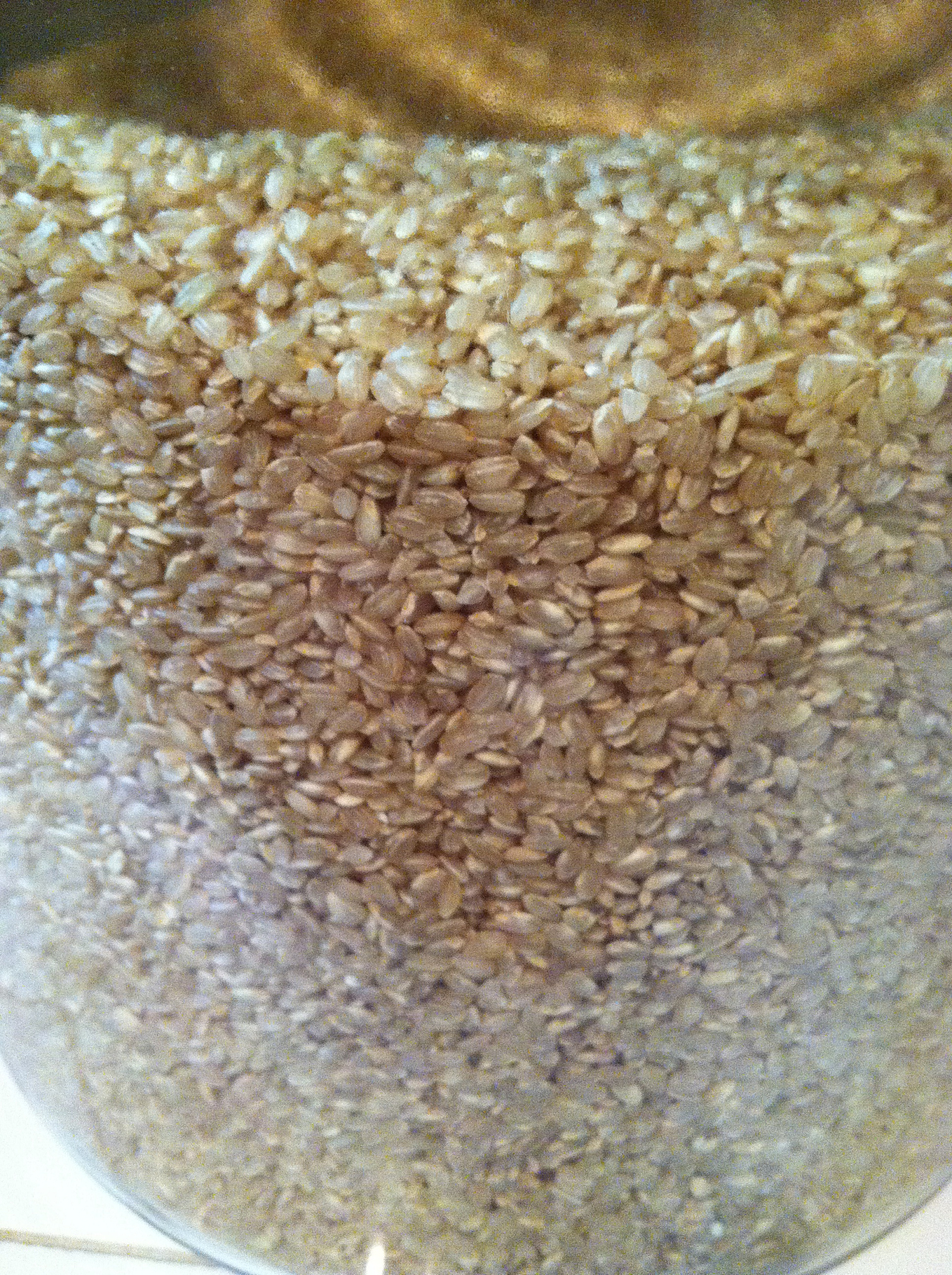 大米变质原因及处理方法：如何防止大米变质？