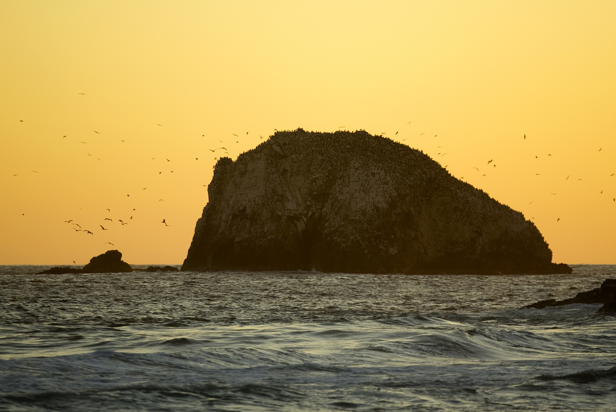 zipolite pacific coast oaxaca state