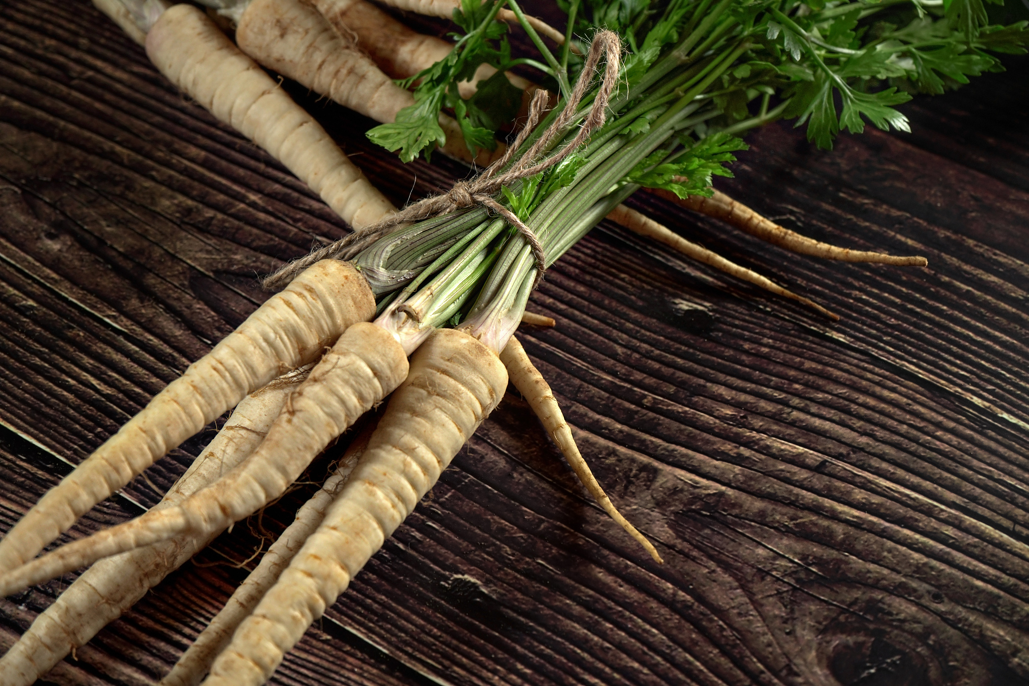 bunch of white parsley parsnip roots and green leaves, tied with