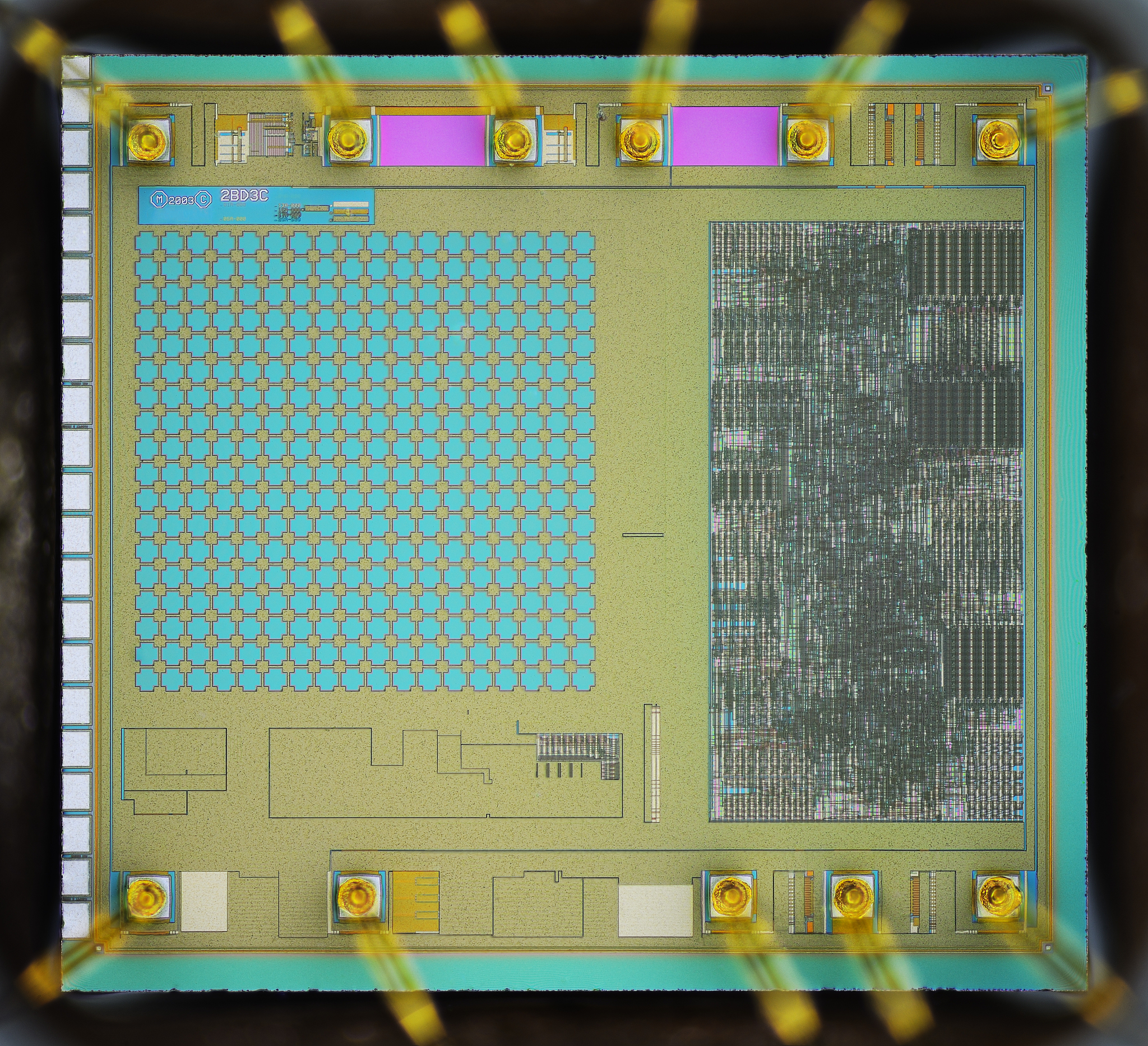 新起20个半导体公司字号