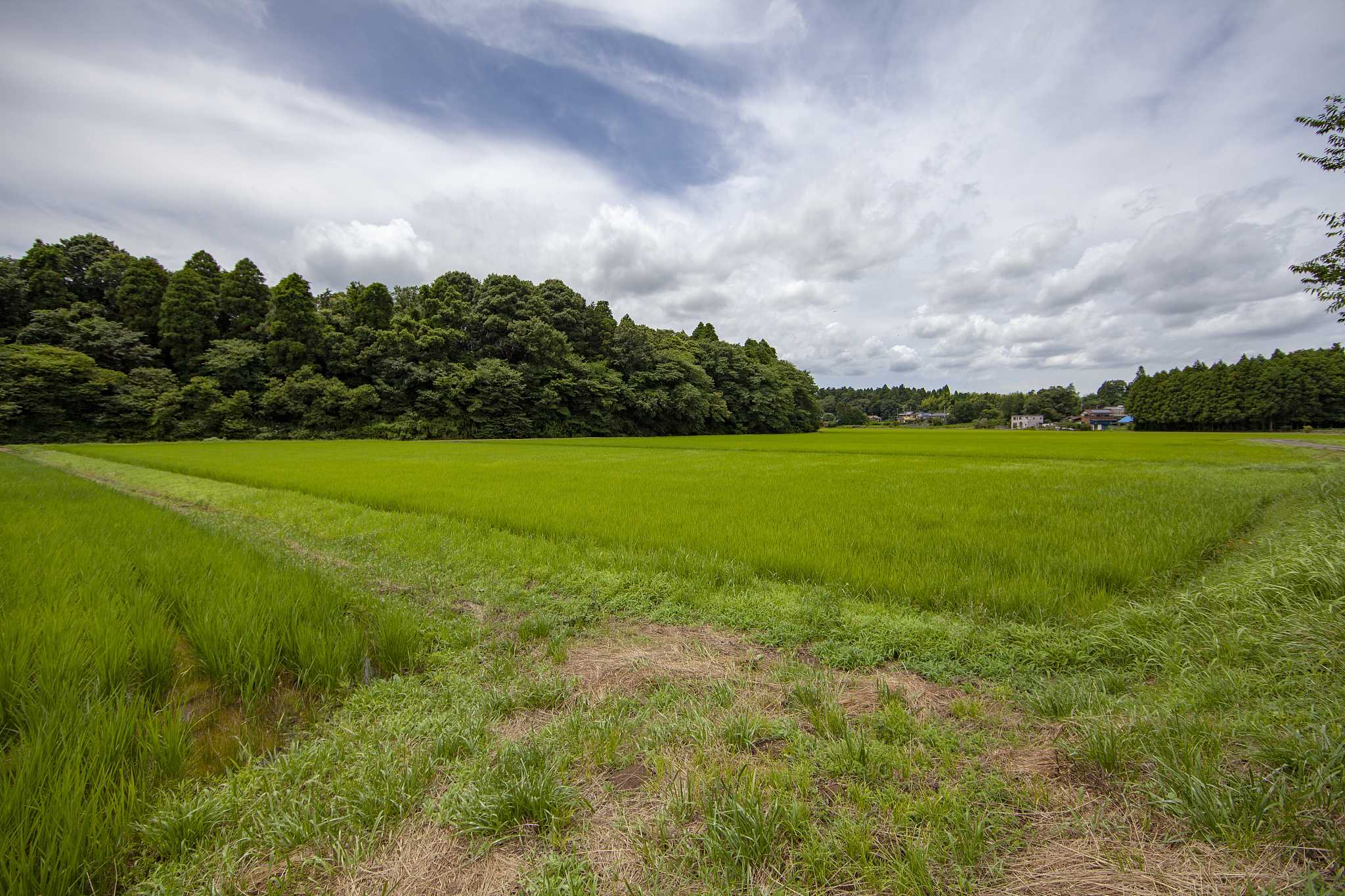 广西农业职业技术学院药品质量与安全专业专业可以选择哪些就业方向