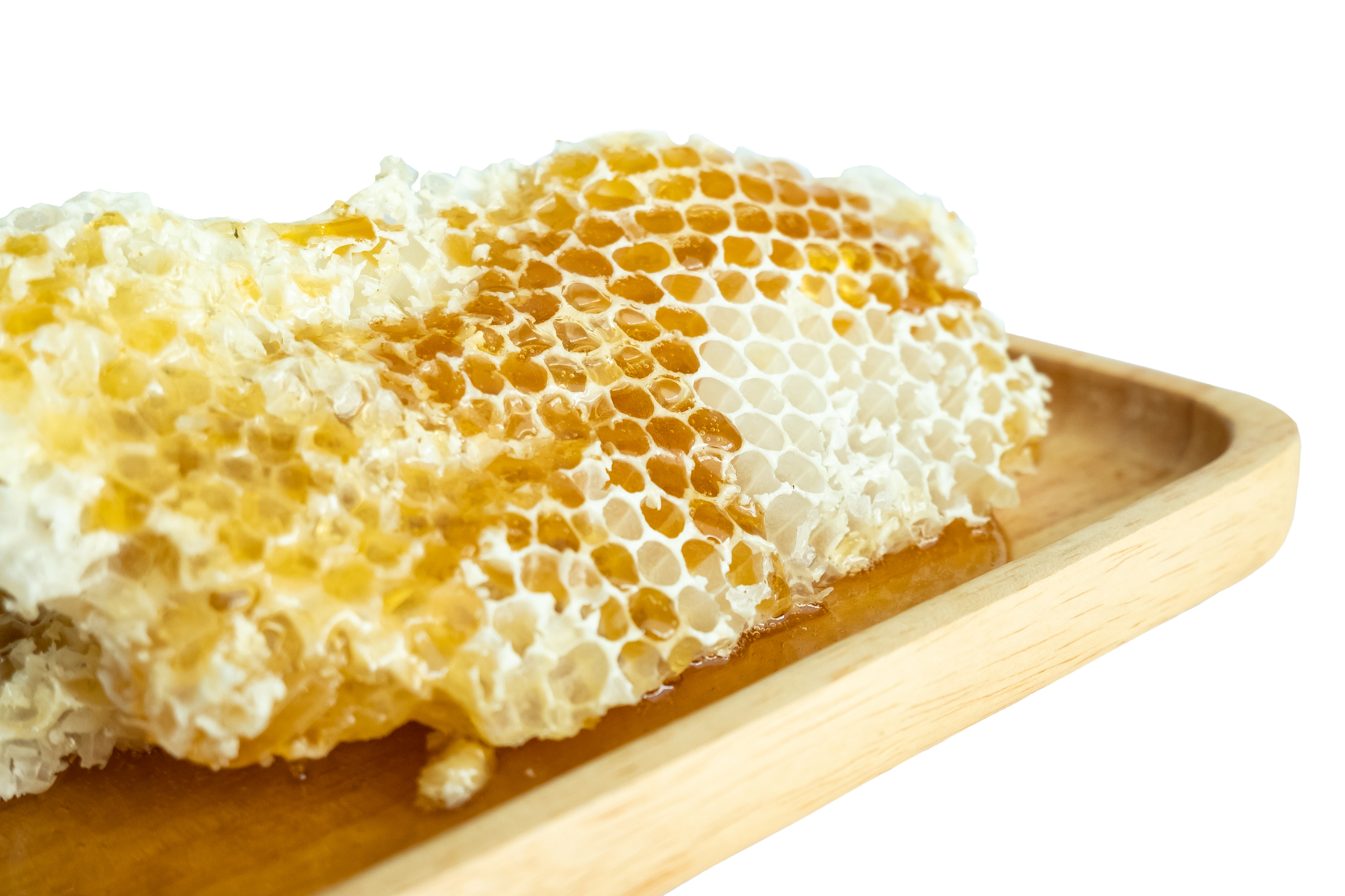 山西药科职业学院食品生物技术专业怎么样？课程设置、师资、实践机会全解析