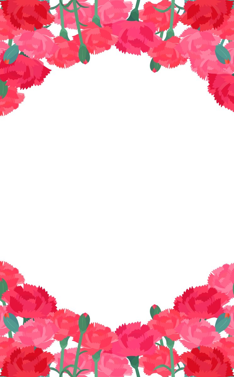 康乃馨花边透明背景