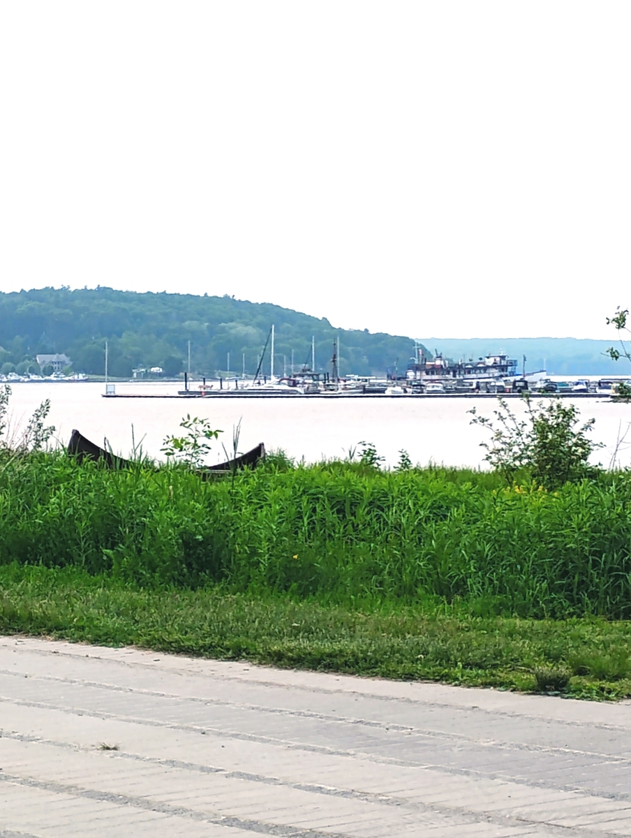 手机原相机拍摄技巧：还原真实场景