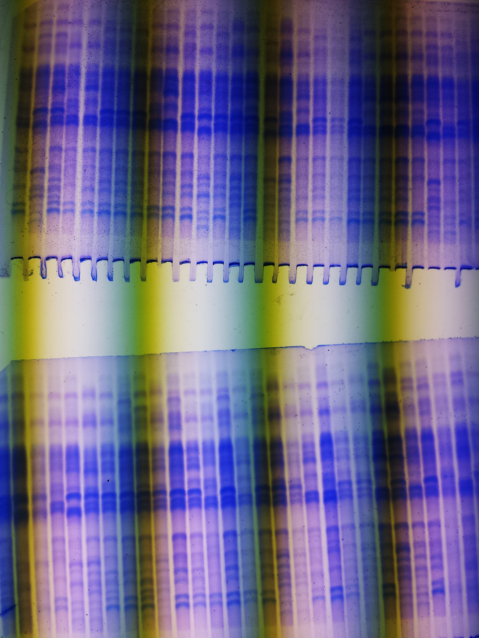 电波噪声滤波器: 工作原理、作用及应用