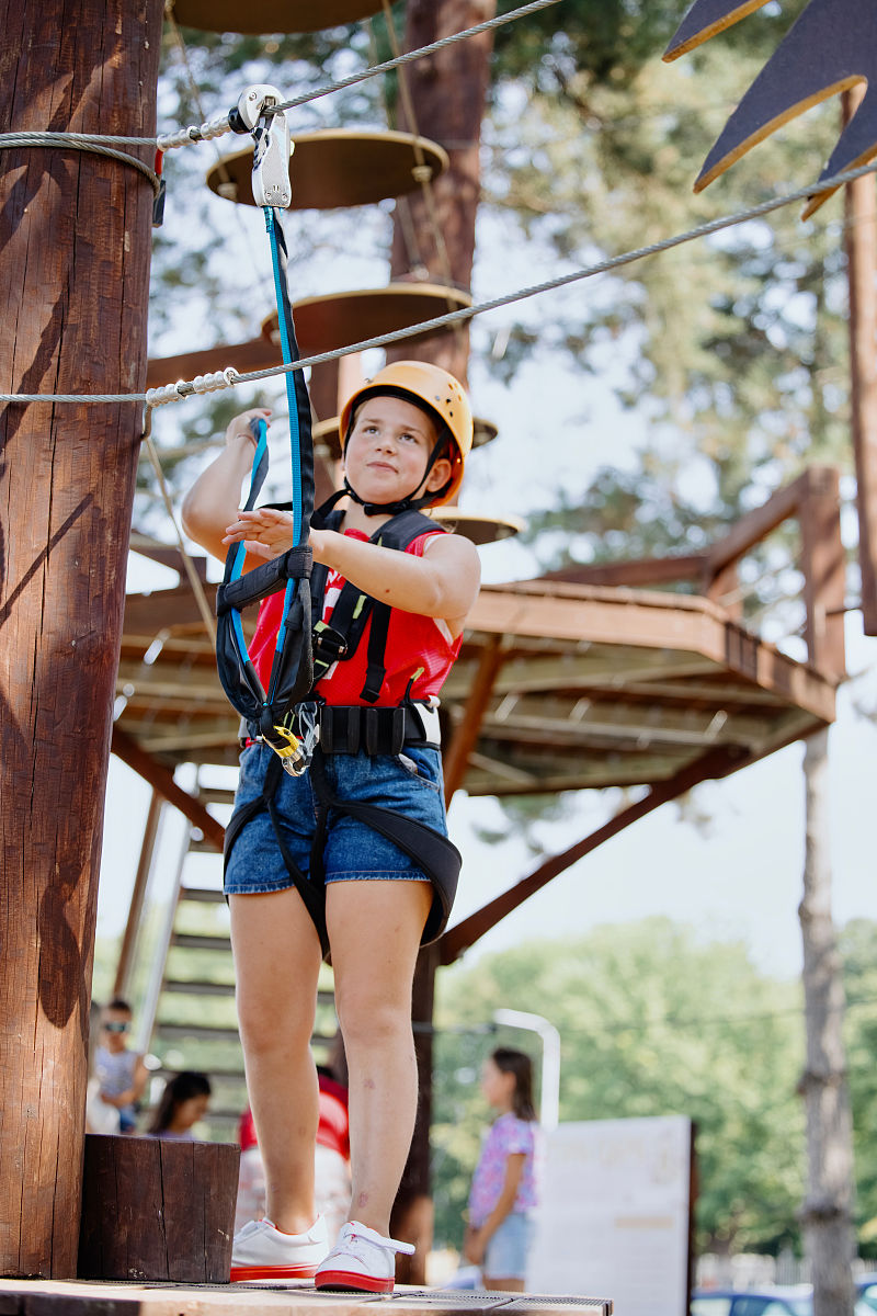 初中信息技术八年级上册1-3课练习卷答案及解析