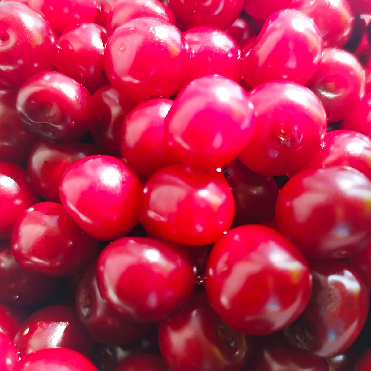 樱桃的由来与功效200字左右详细描述一下