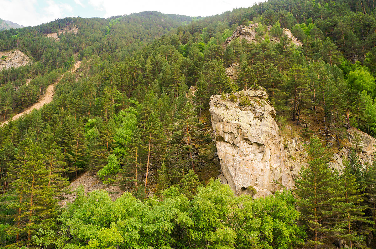 兰州兴隆山植被类型 - 从针叶林到高山草甸