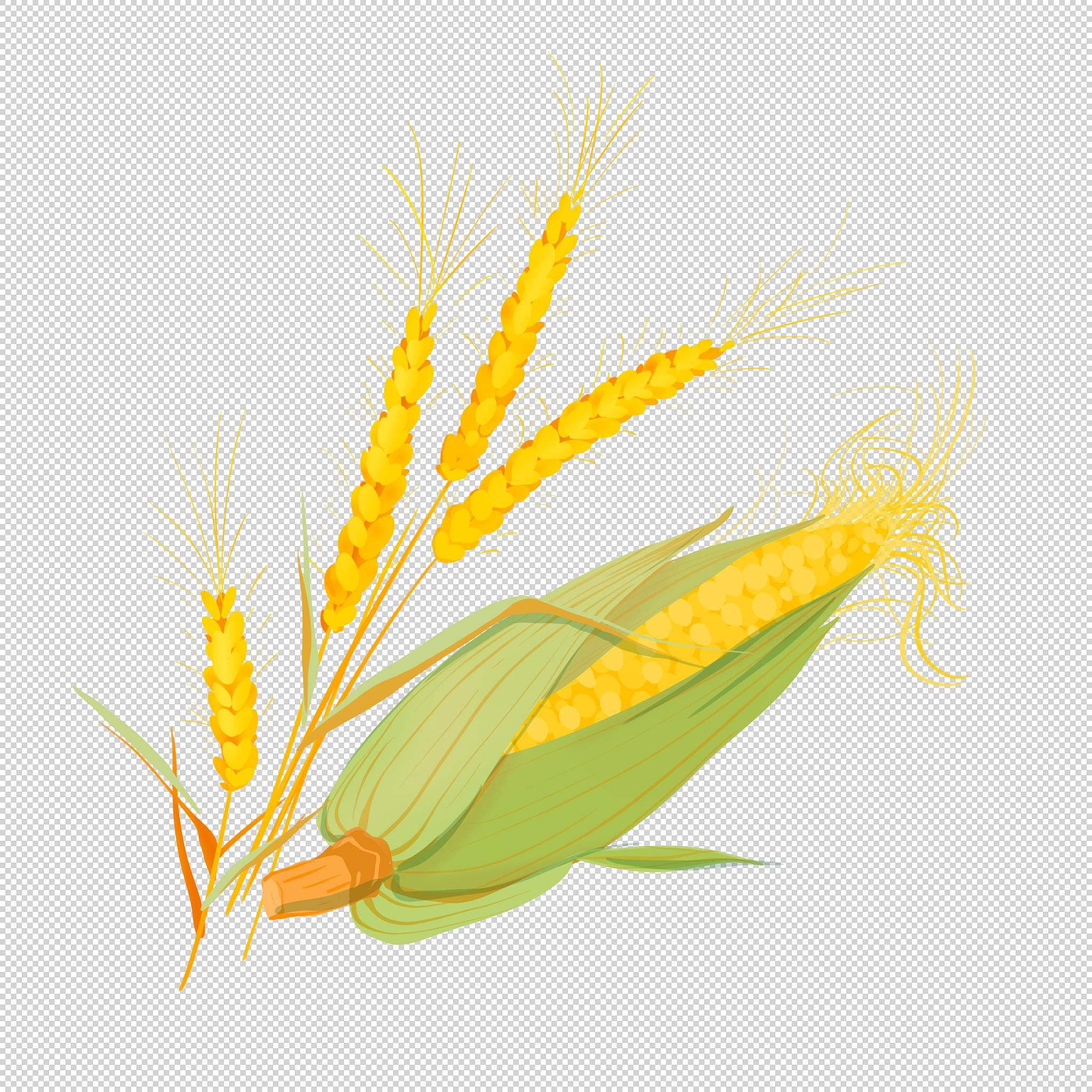 粮食工程与检测专业详解：课程内容与未来发展