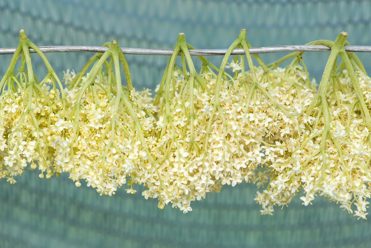 西南大学药学专业就业前景分析：机遇与挑战并存