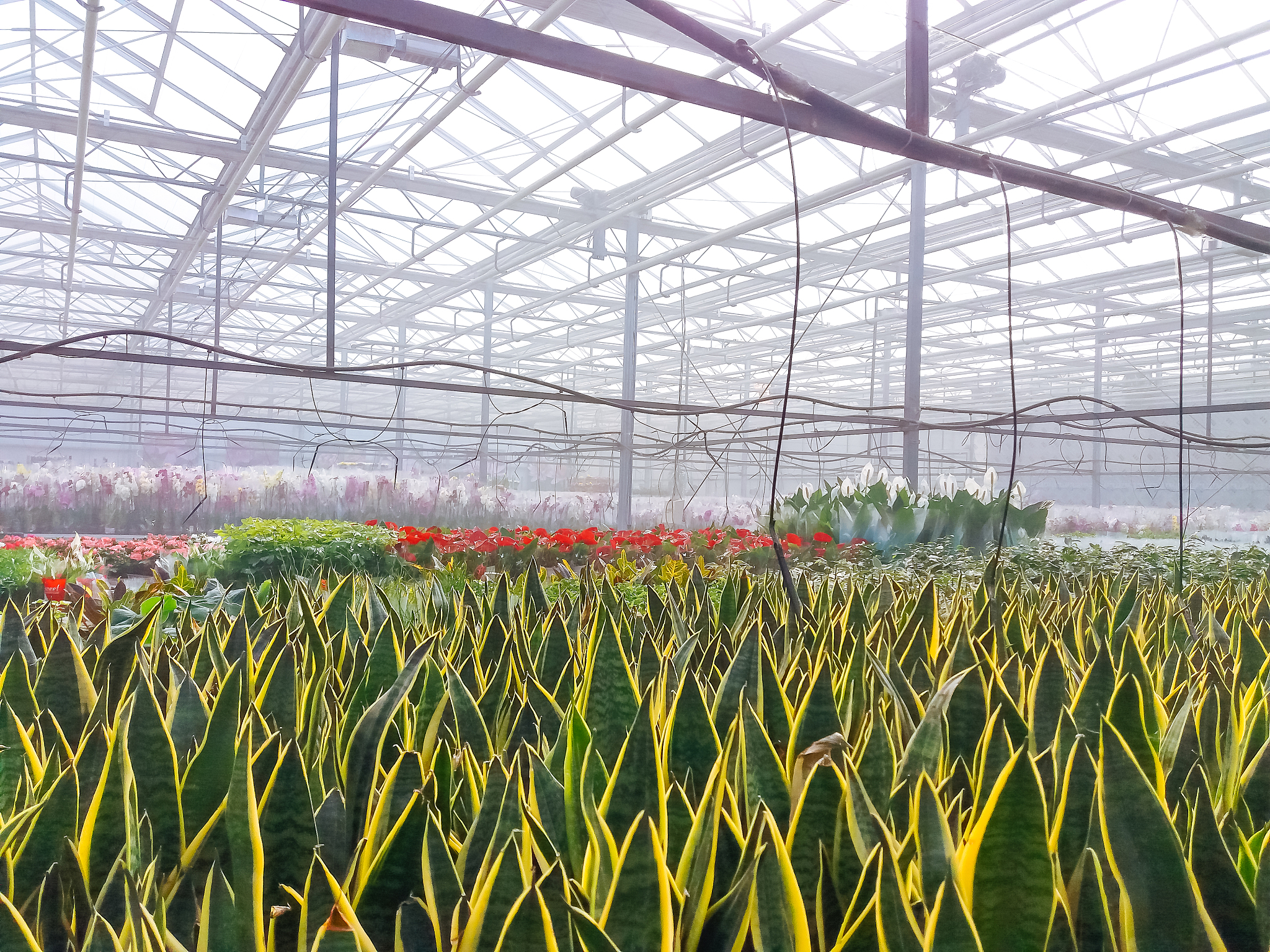 抚顺职业技术学院园艺技术专业好就业吗