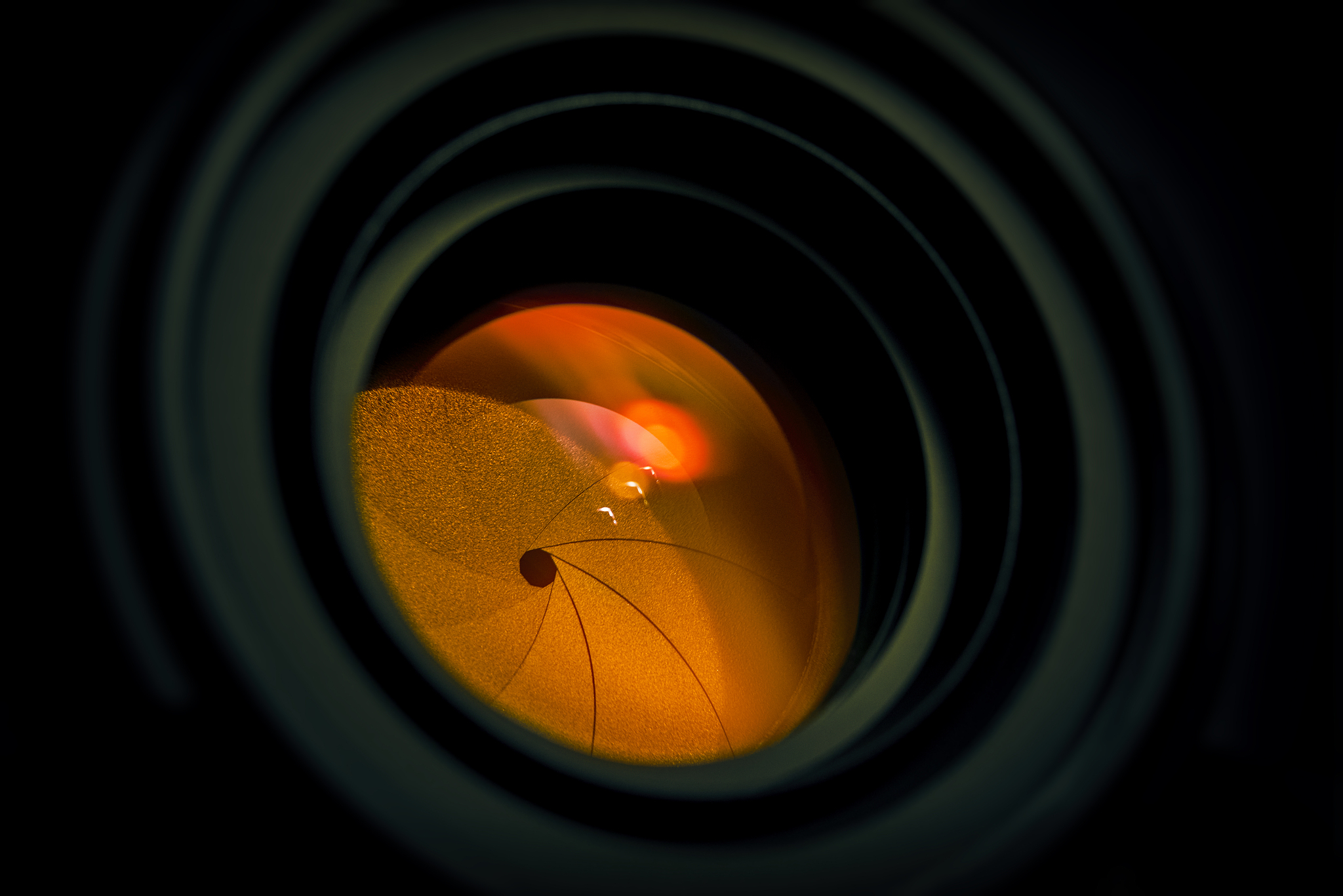 摄影入门必备知识：从器材到构图，轻松掌握摄影基础