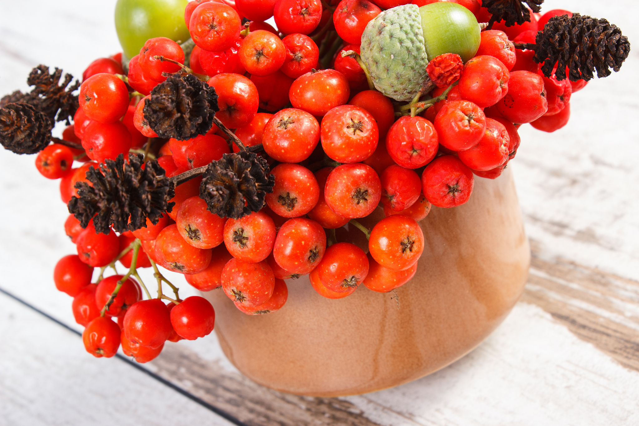 autumn fruits of forest on rustic wooden background