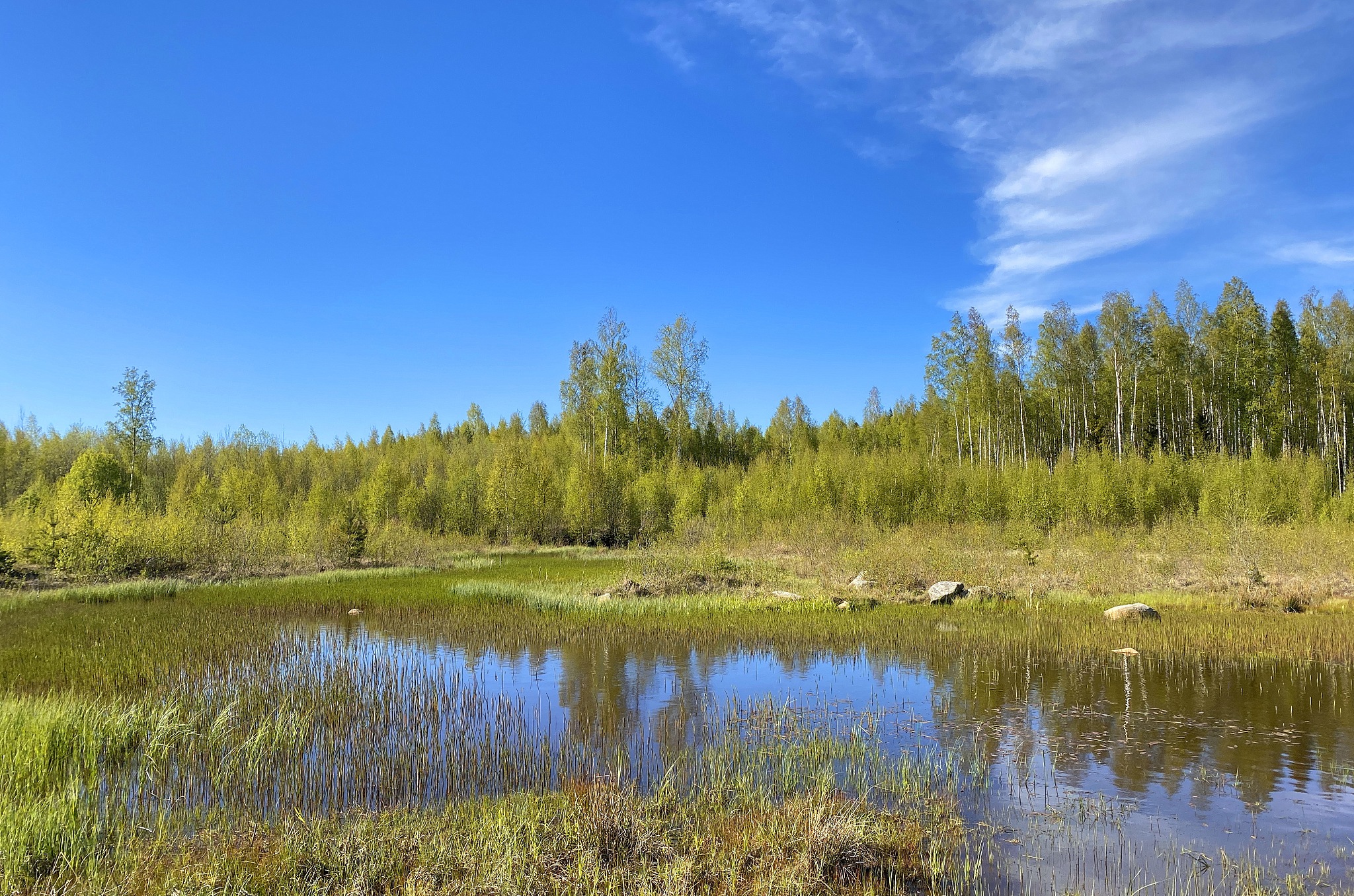 齐齐哈尔林业学校湿地与自然保护区管理专业介绍