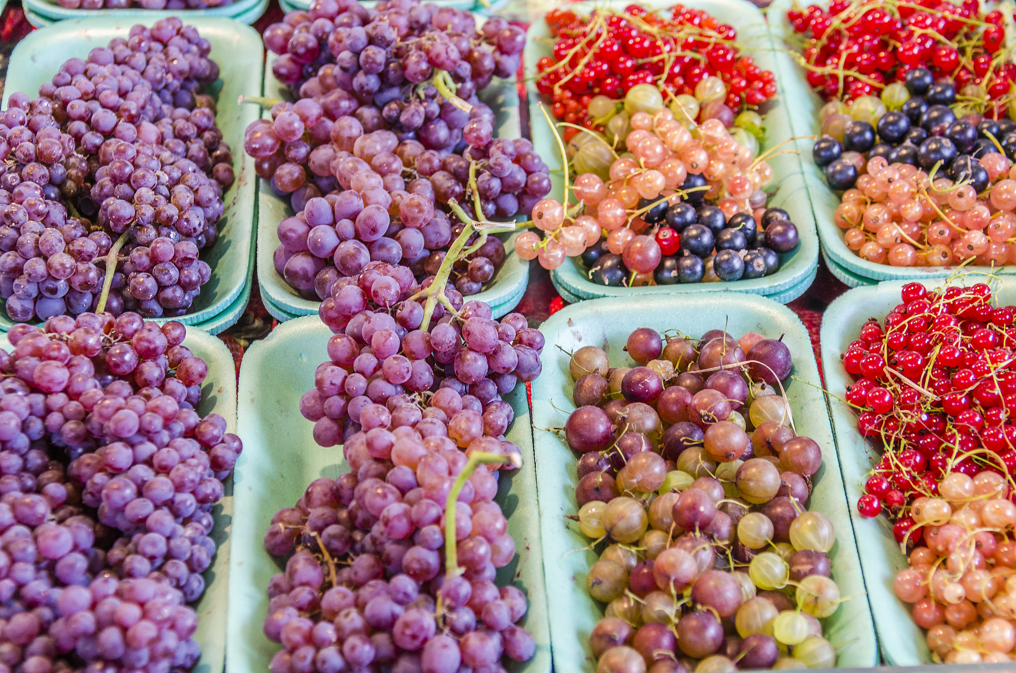 葡萄怎样保鲜比较好 地摊卖葡萄怎么保鲜