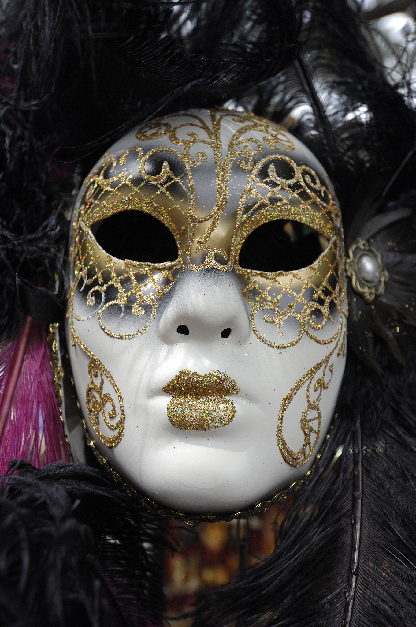 红河州农业学校计算机网络技术专业招生：掌握网络技术，开启未来职业