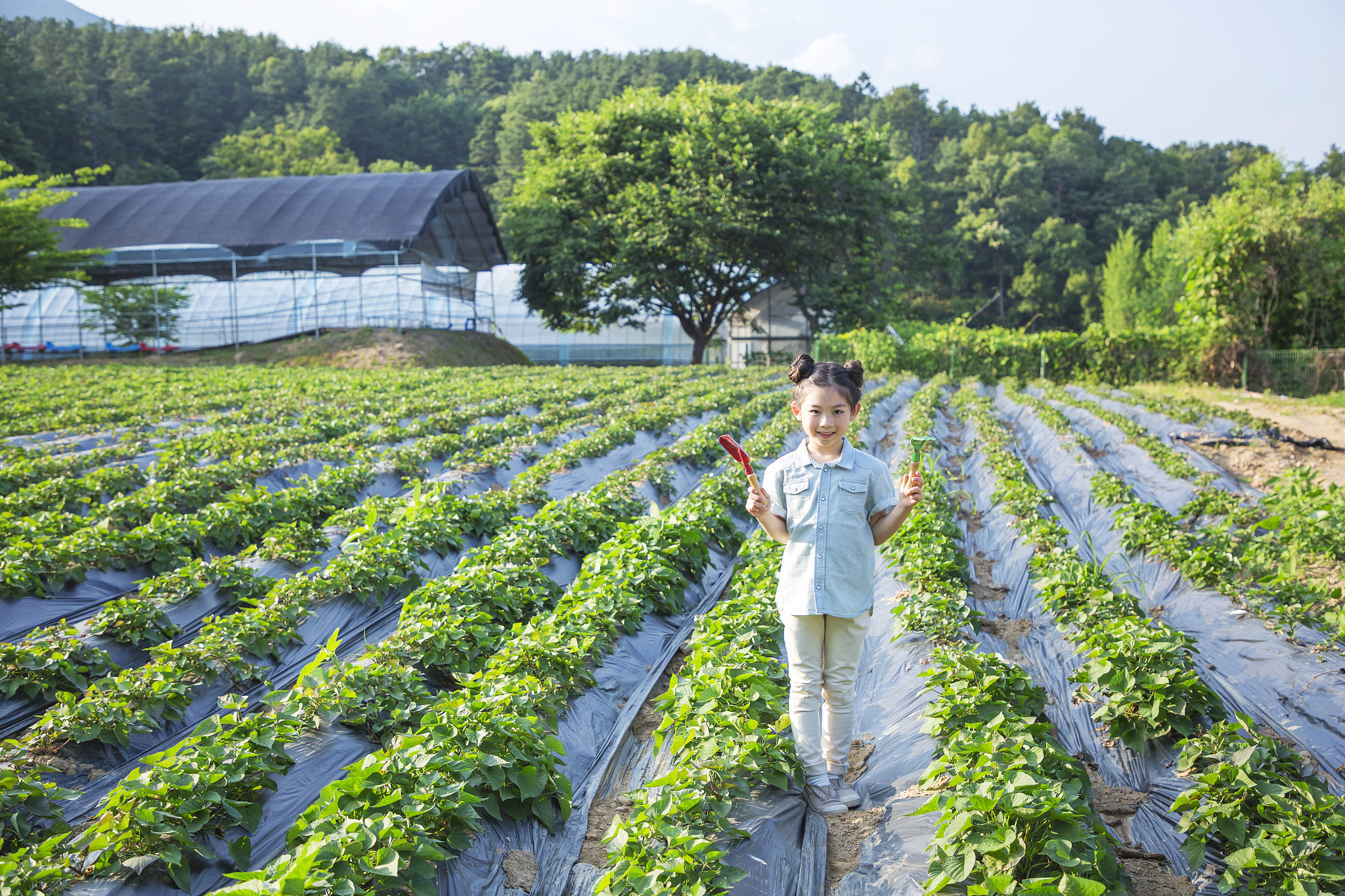 湖南省有什么中专中职学校的观光农业经营专业好