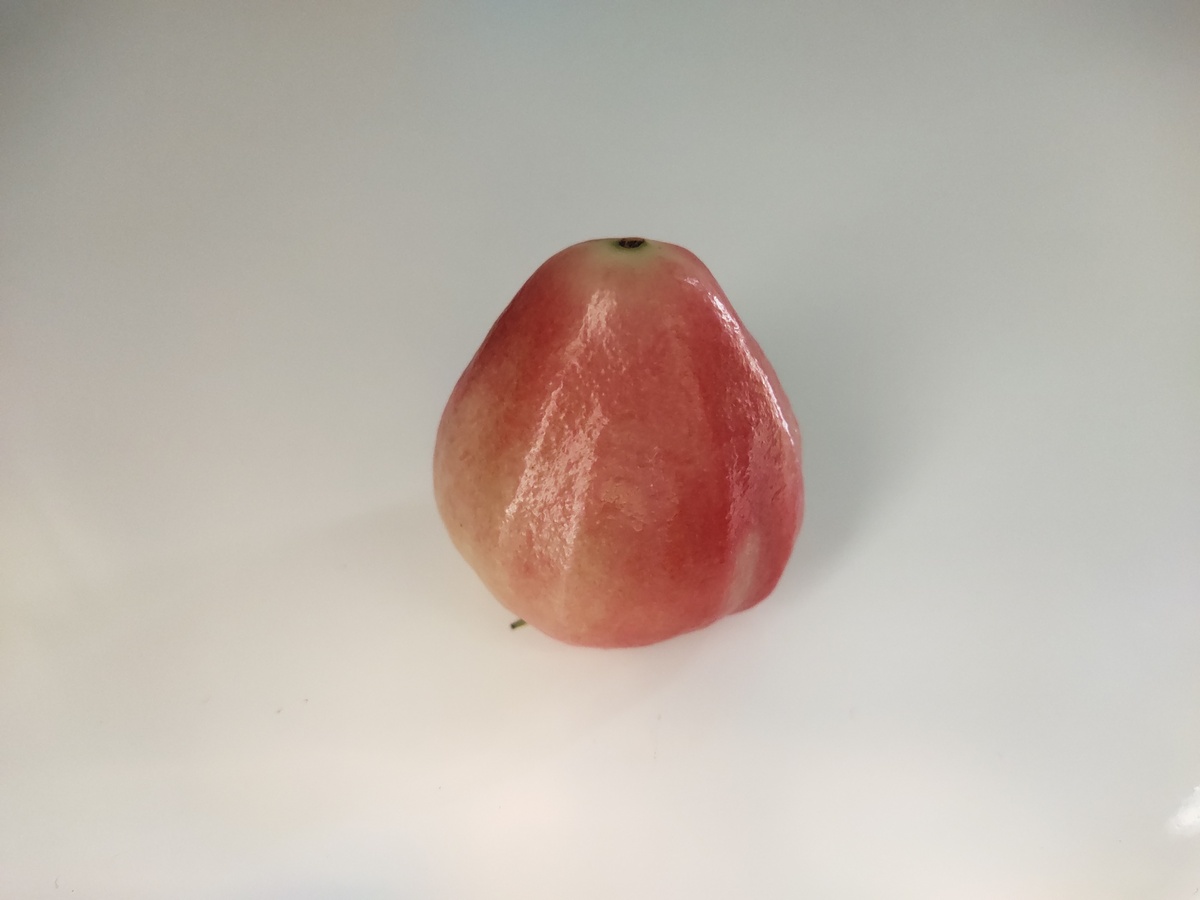 水苹果,白色背景上孤立