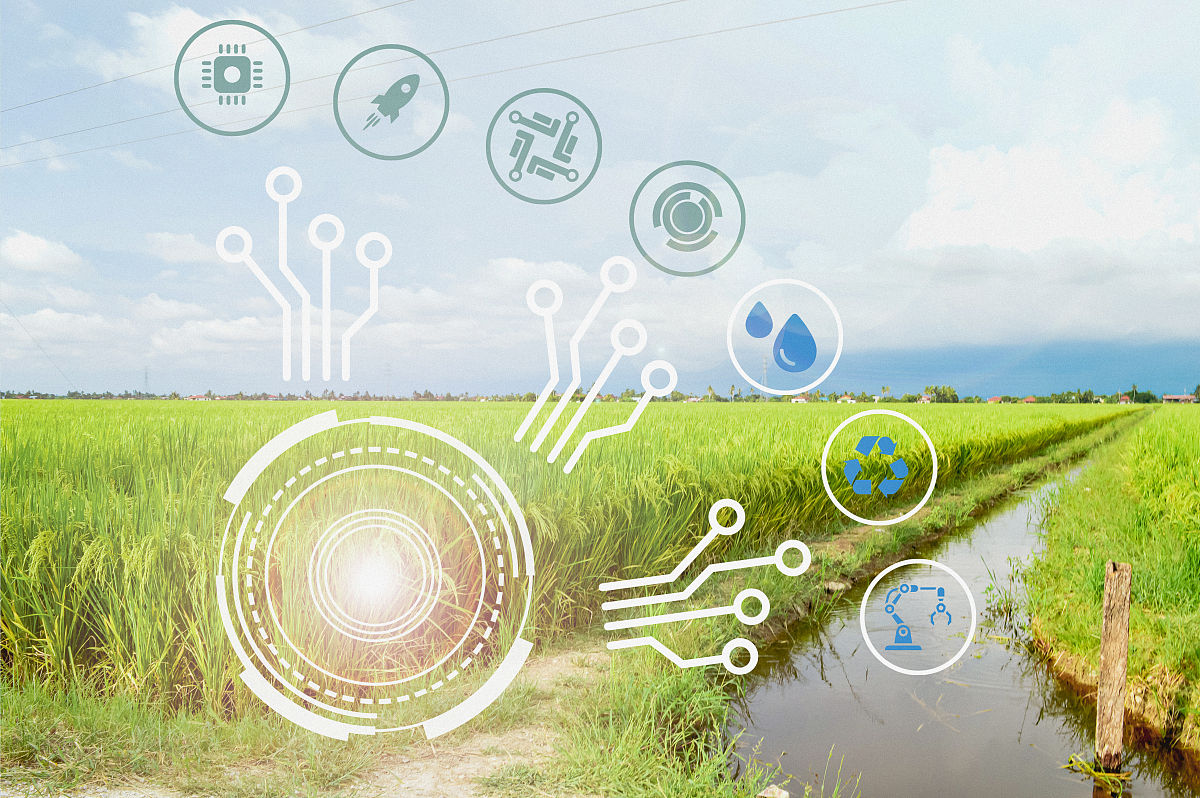 良好的生态环境怎样提高生产力