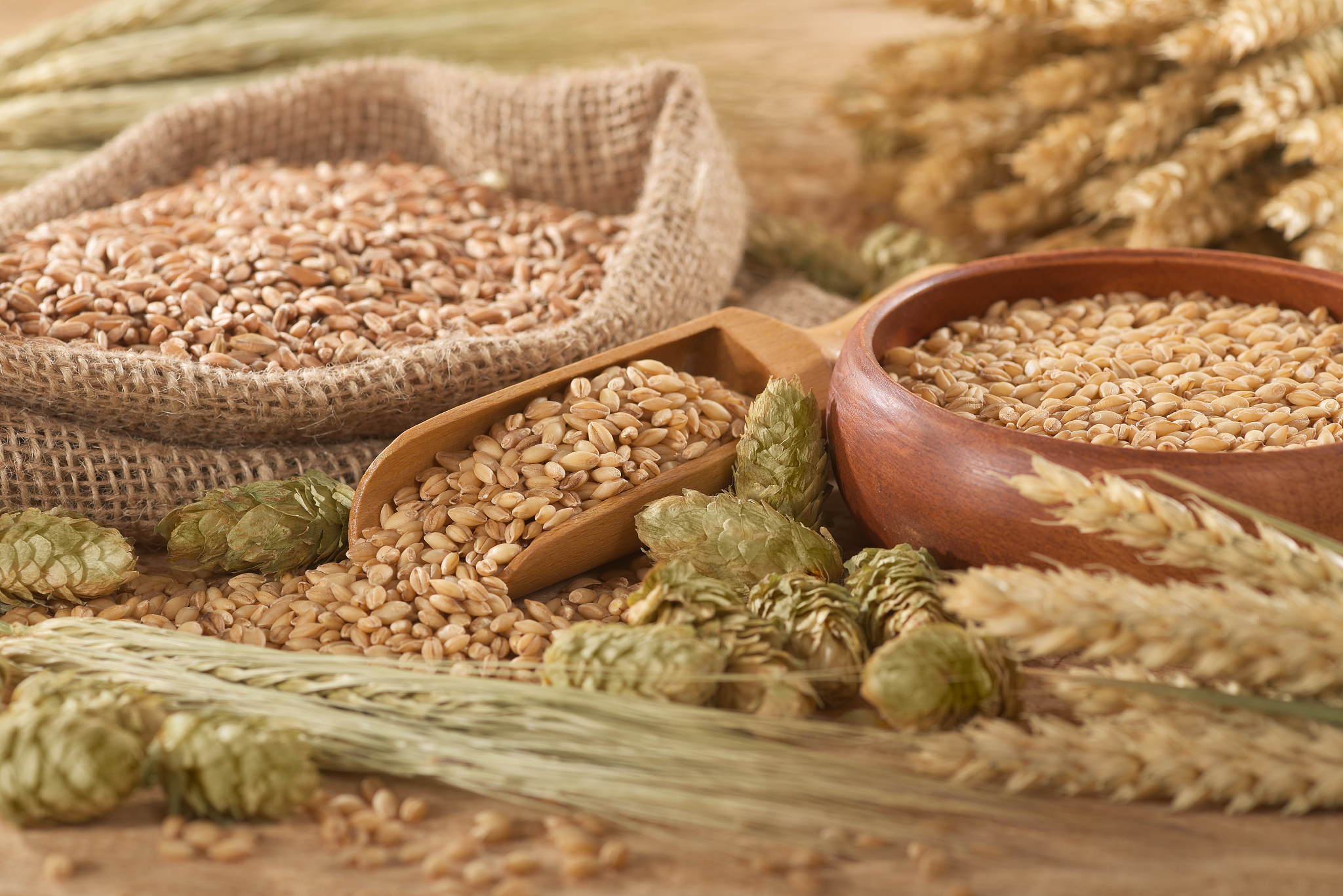 beer ingredients