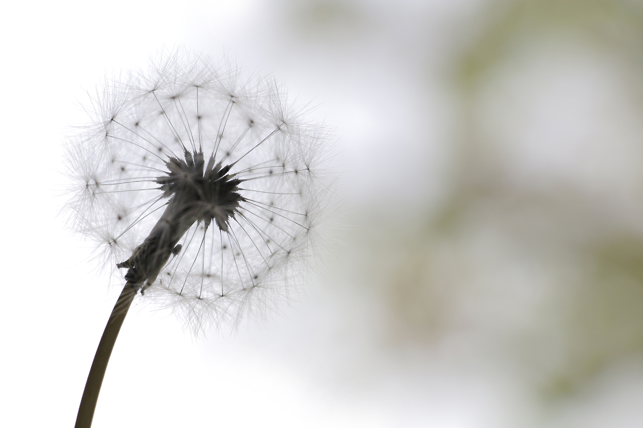 兰州园艺学校种子生产与经营专业怎么样