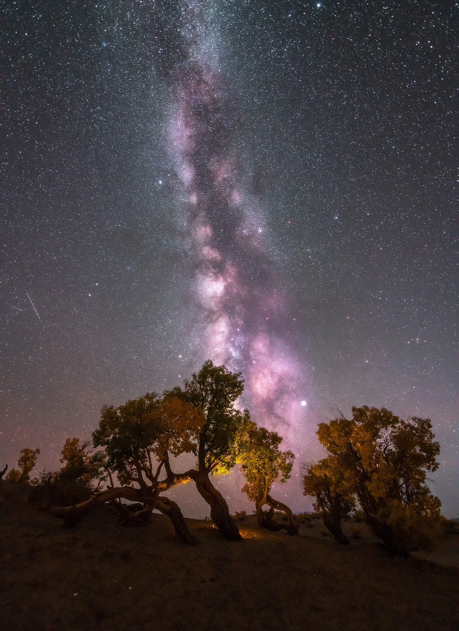 星星一会一会一会造句