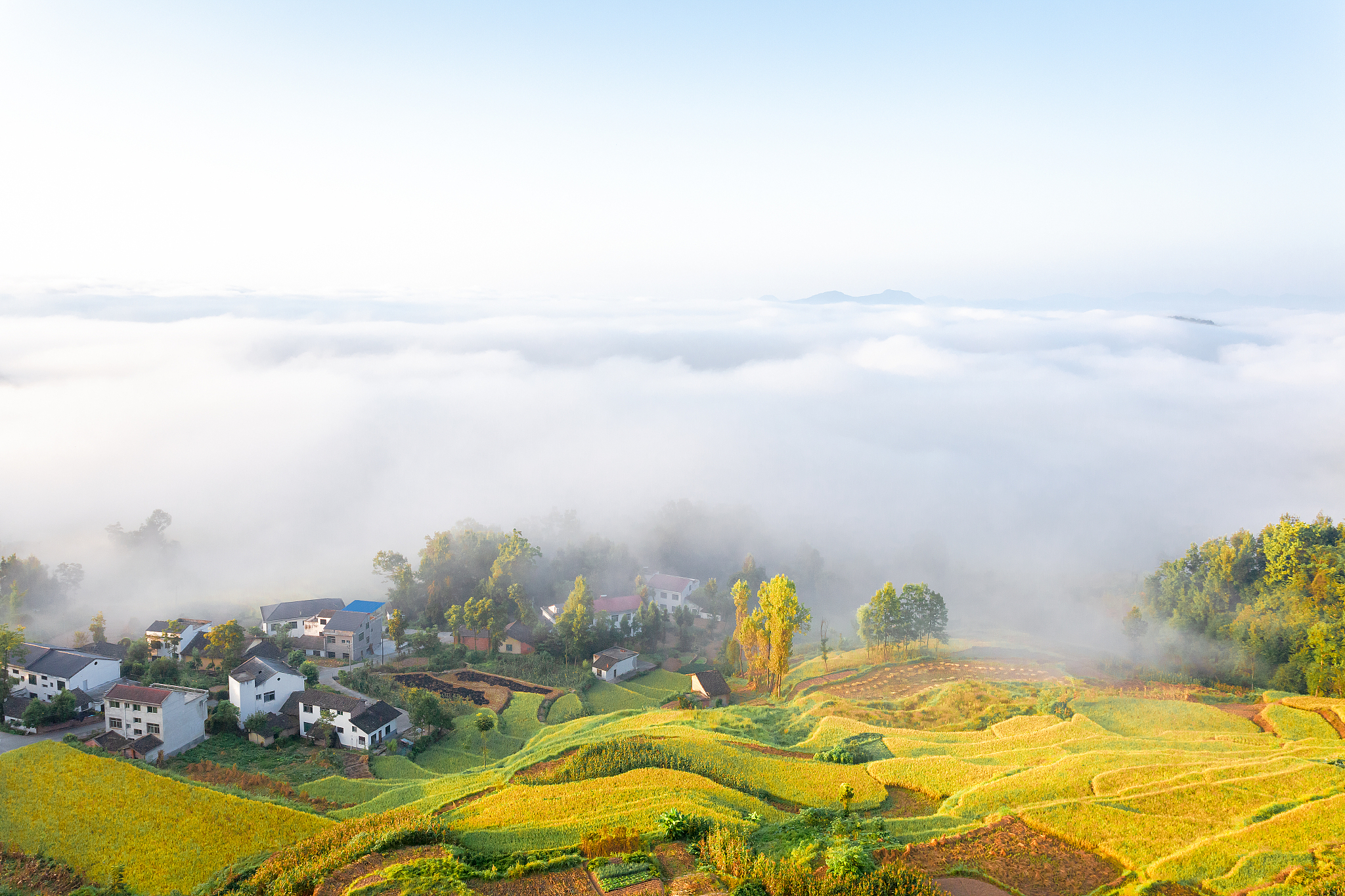凤堰梯田云海间，模仿杜甫写一首律诗