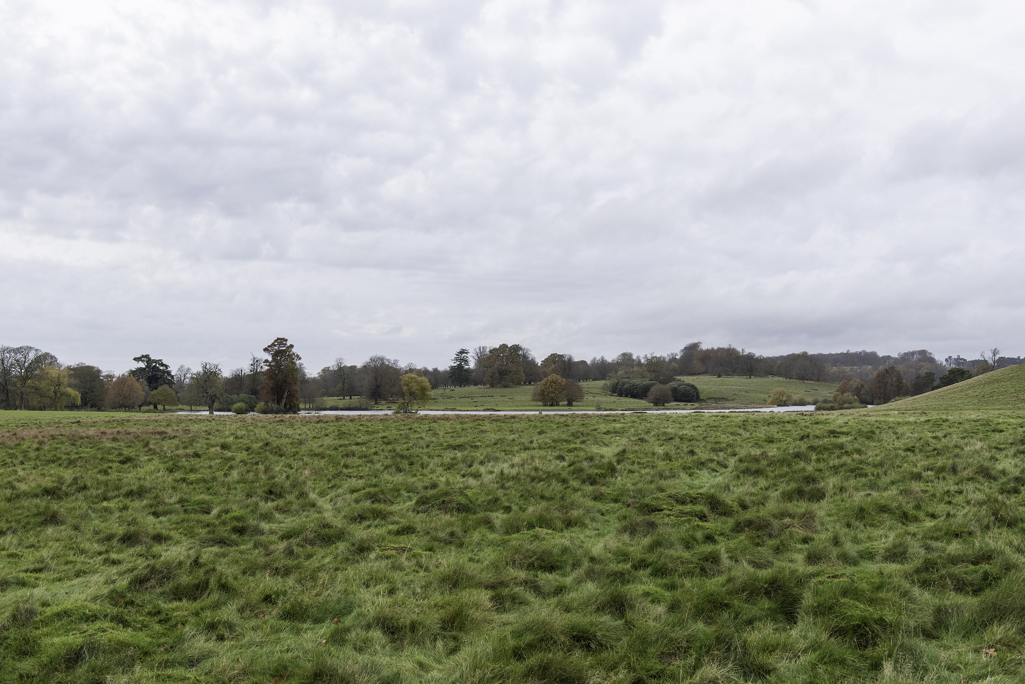 红河州农业学校就业前景好的专业有哪些？