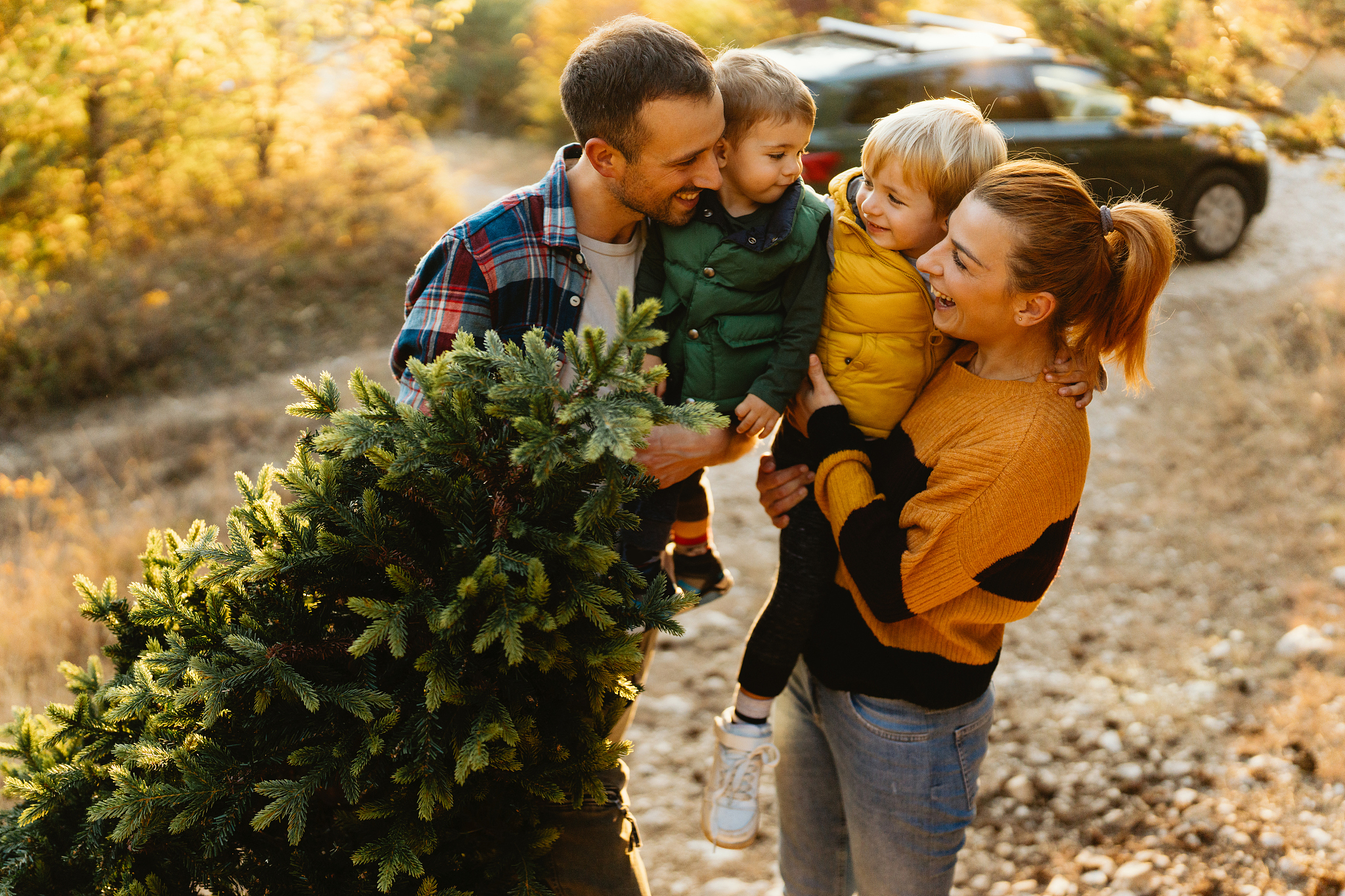 young family carrying home their christmas tree
