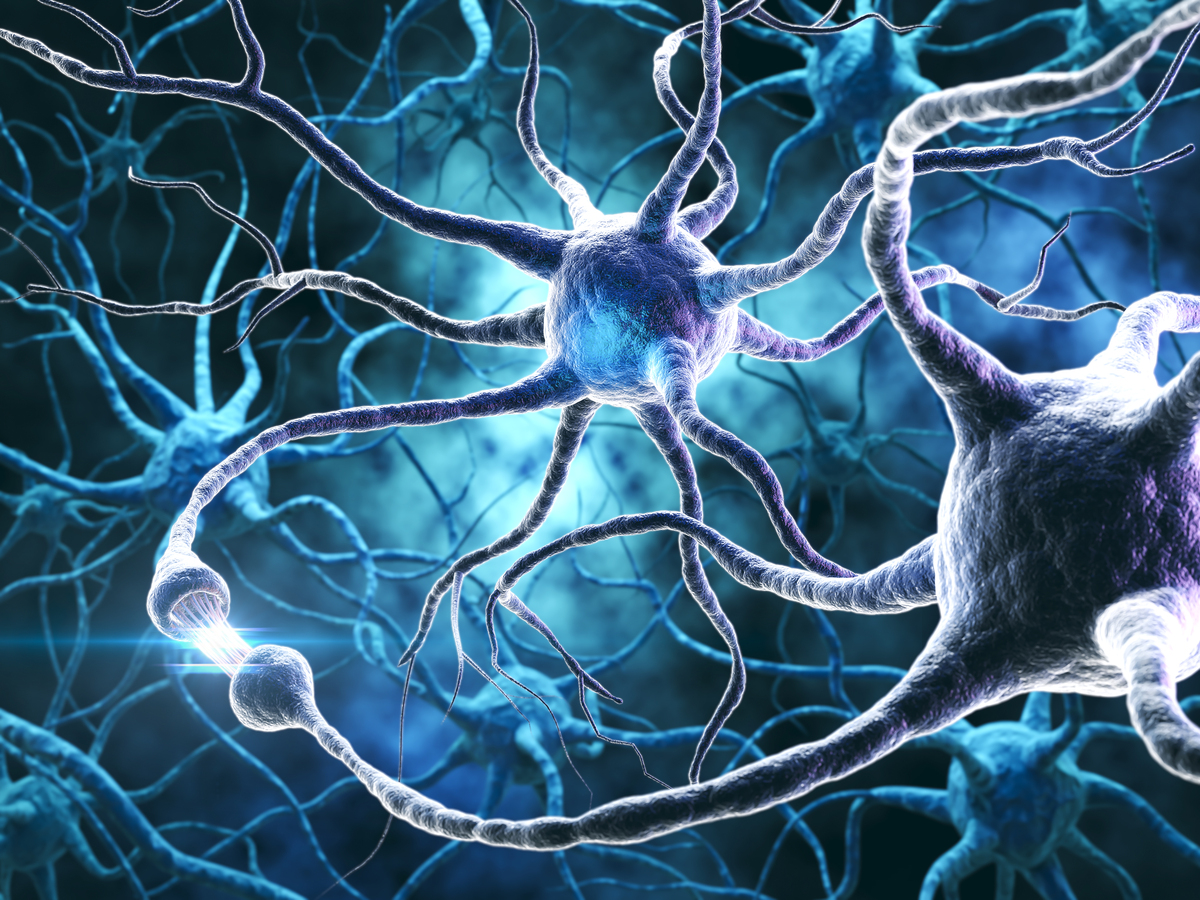 脑细胞怎么短时间增多