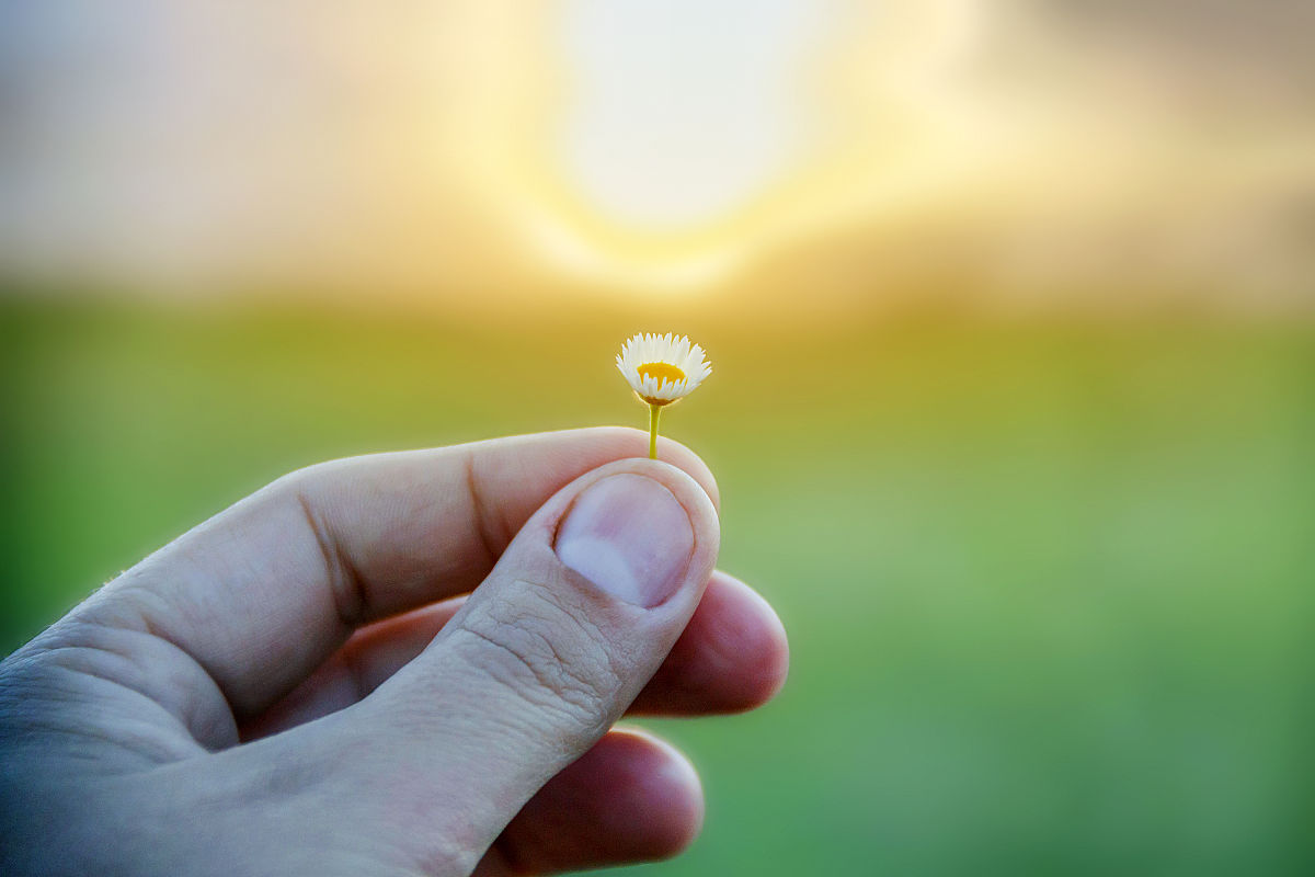 平淡的日子，充满滋味：一篇记叙文的感悟