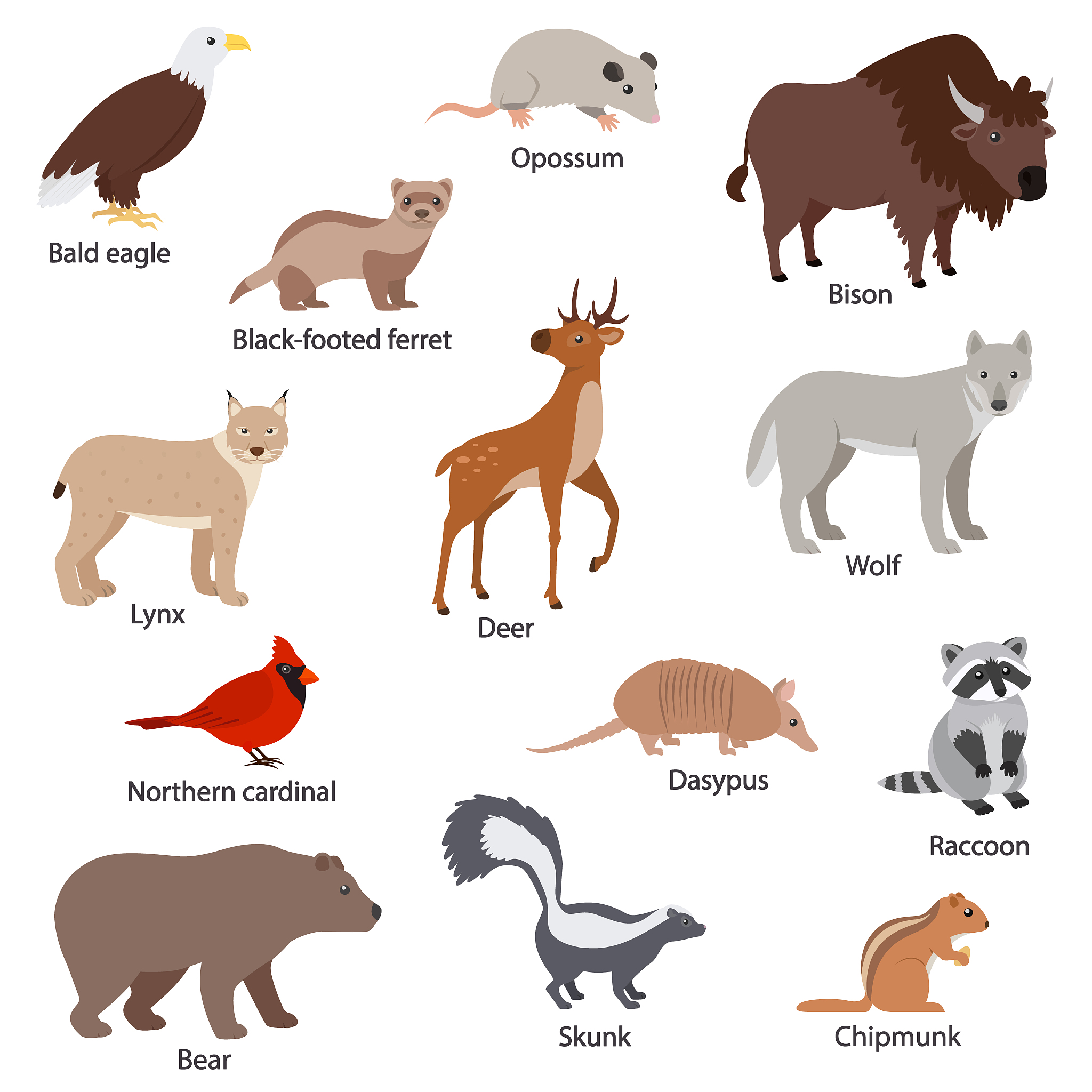 Animal Intelligence: Are Our Furry Friends Smarter Than We Think?