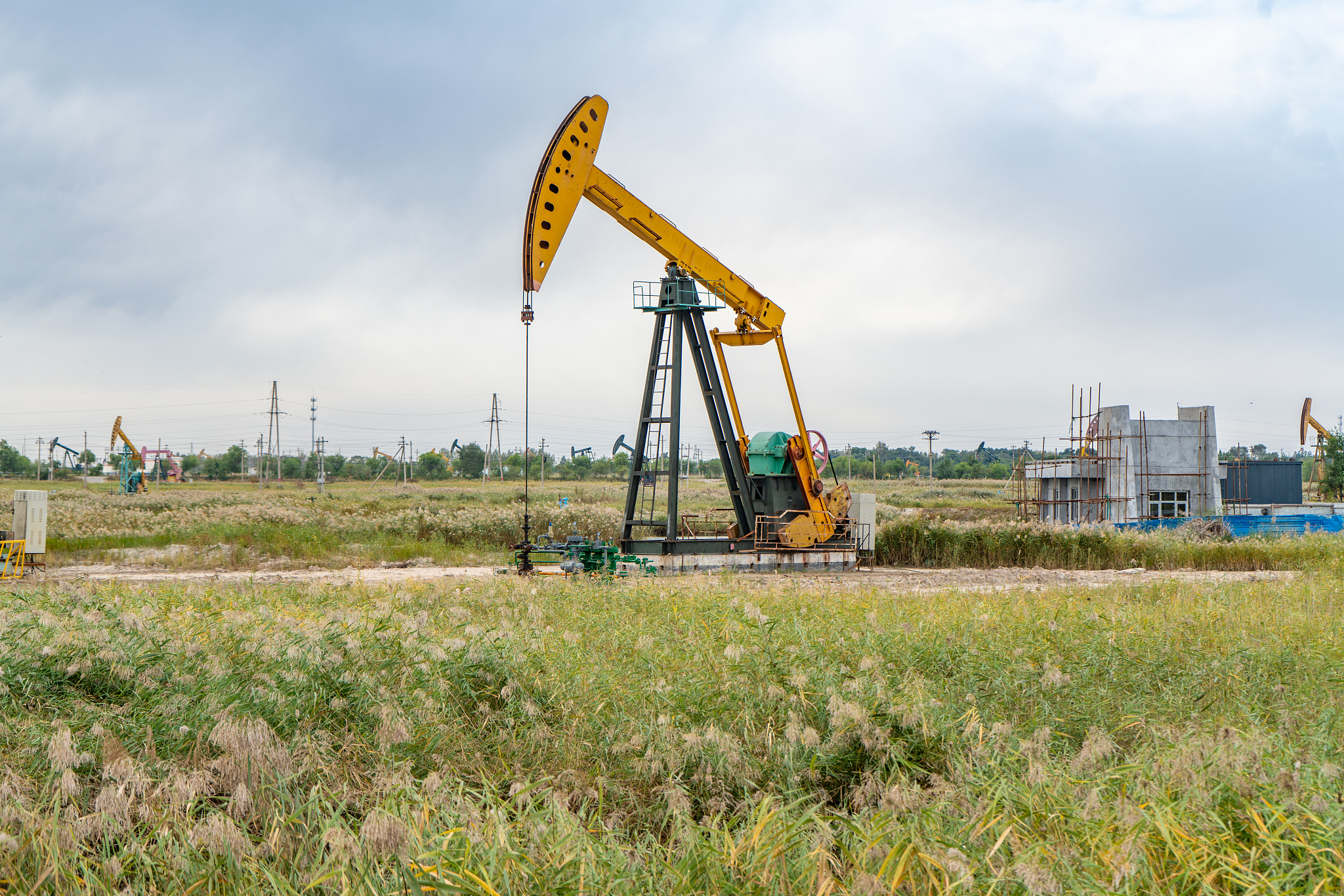 黑龙江工业学院专业有哪些？专业介绍