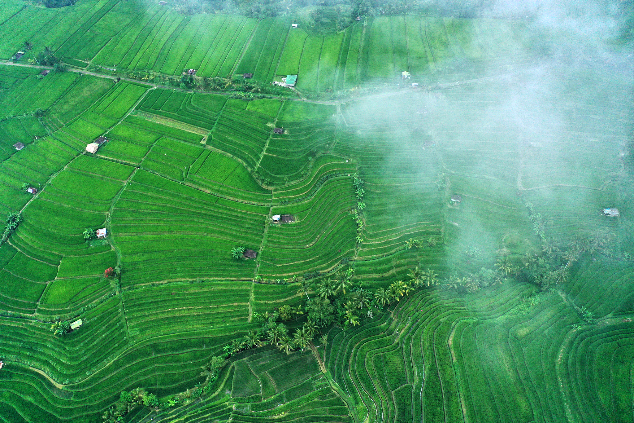 aerial view of jatiluwih rice terraces in the fog and clouds . b