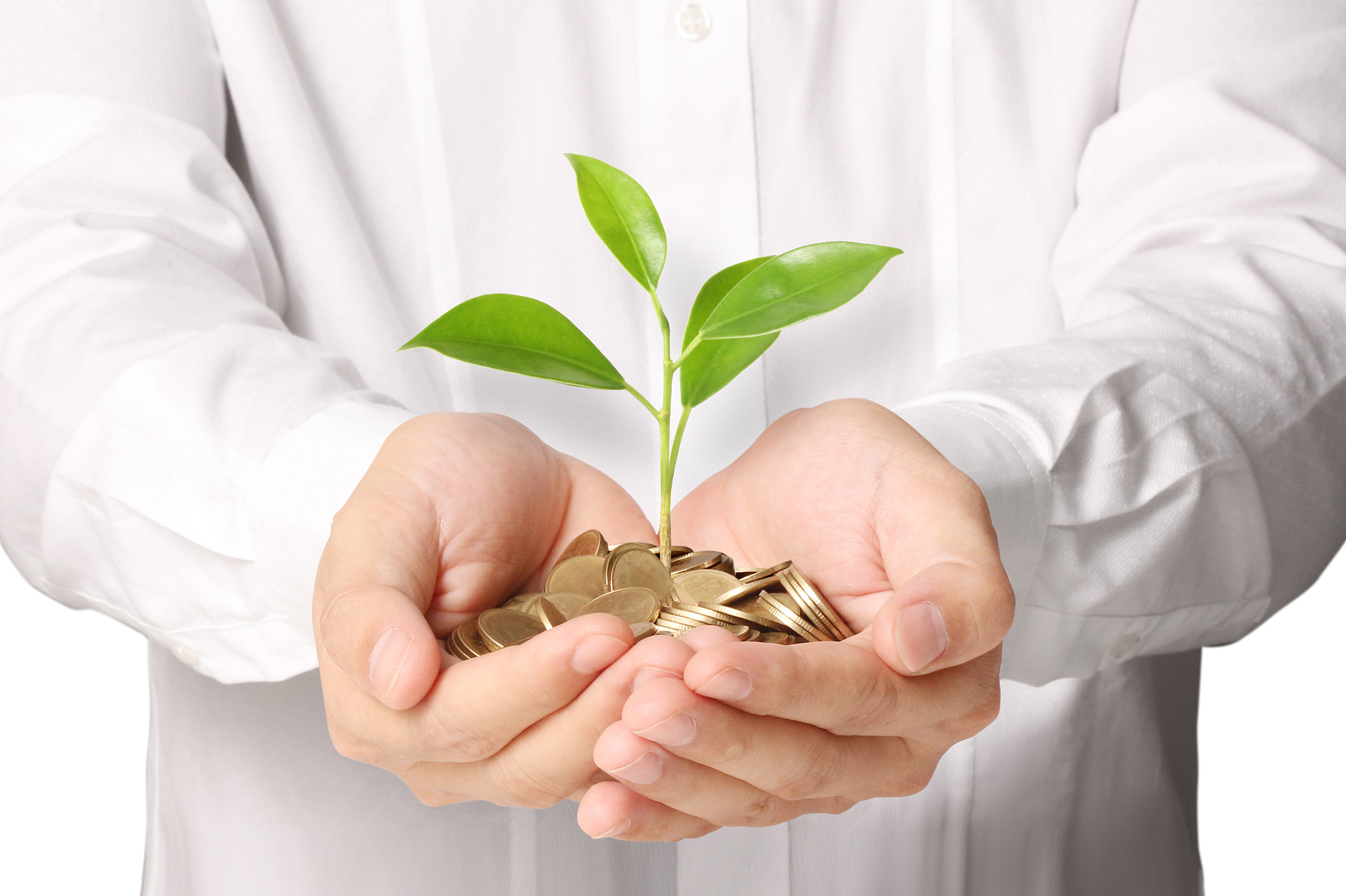 holding plant sprouting from a handful of coins