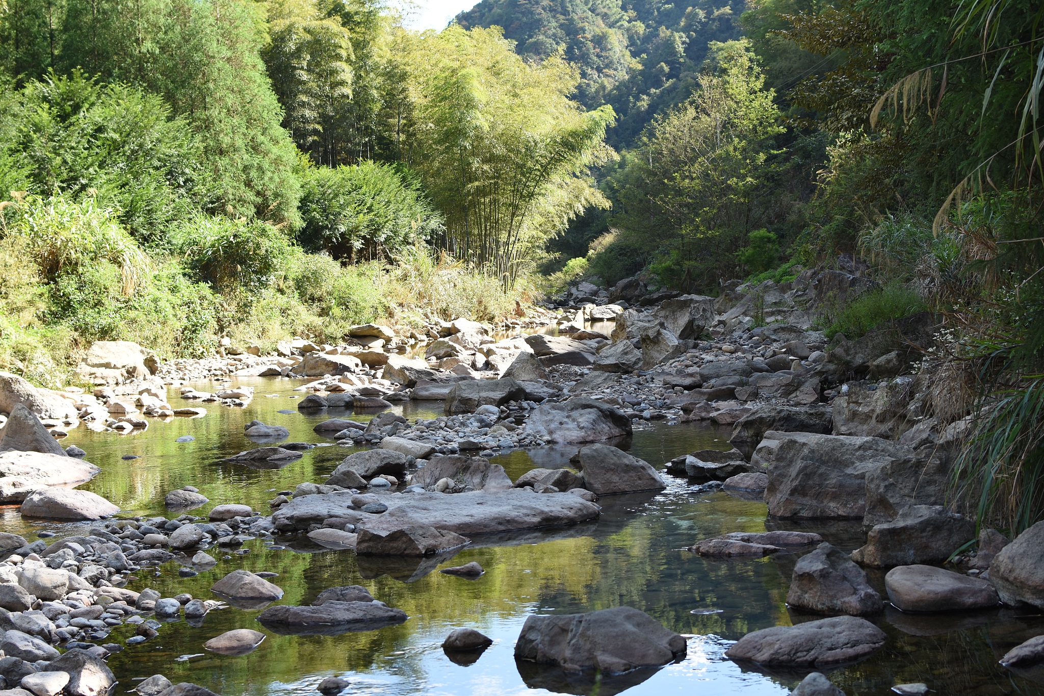 写一篇九溪十八涧的游记