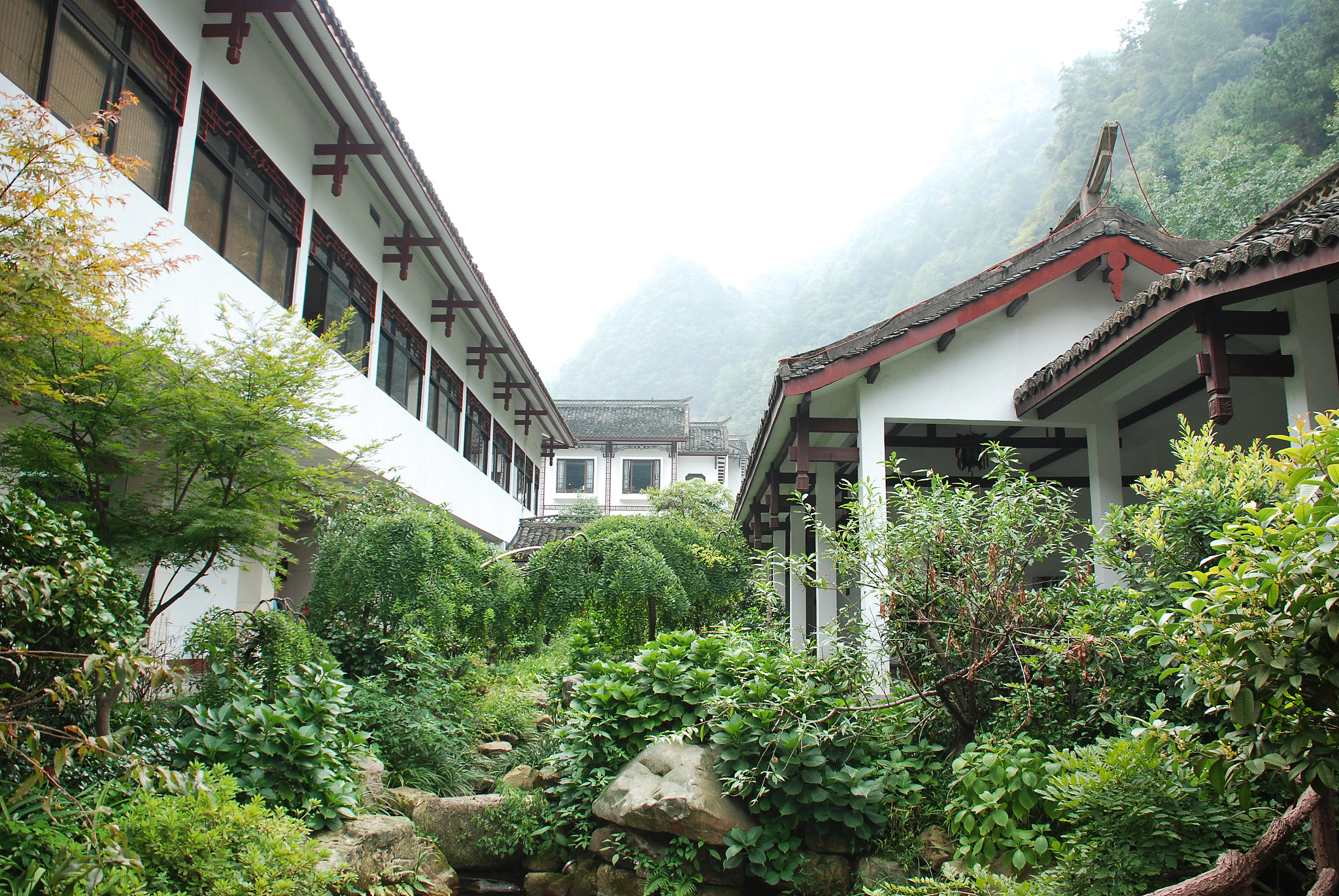 请讲一个在中国学习建筑学的留学生学习风水的故事