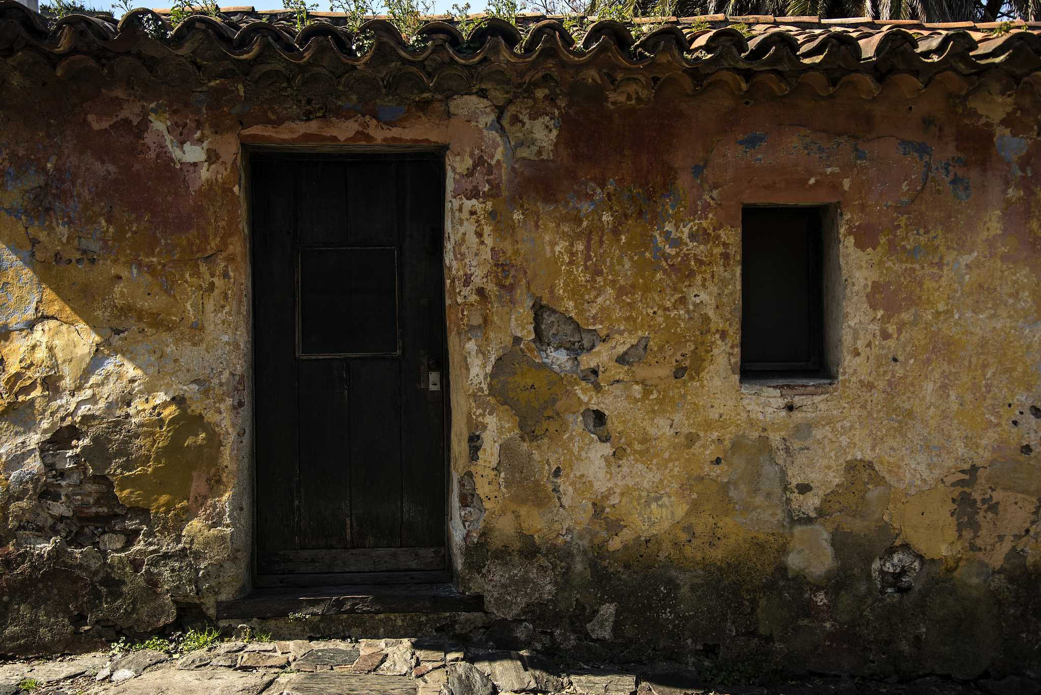 形容房子破旧没人的景象的诗句？荒废的房屋空荡荡的院落风吹草动落叶飘零。继续