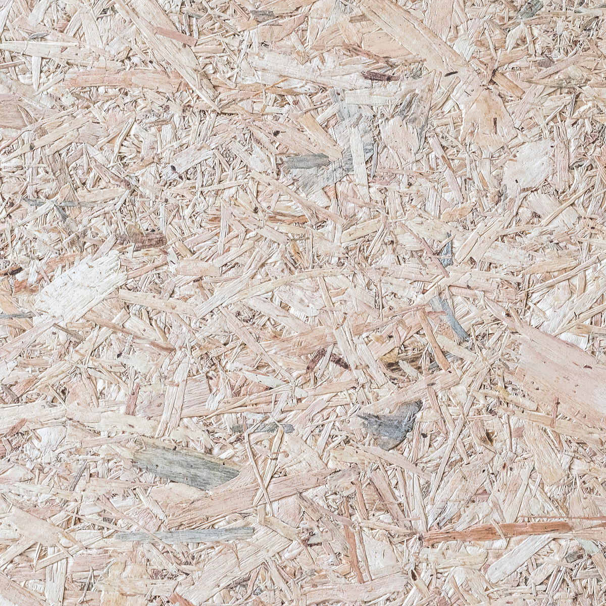 宁波黄泰技工学校2023年有哪些专业