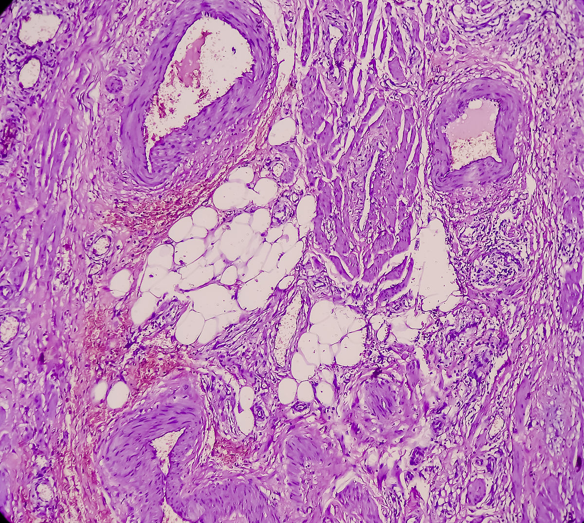 写1000字的文本阐述实验教学示范中心组织团队系统开展教学体系、教学内容、教学方法、教学组织、教学评估等研究情况。