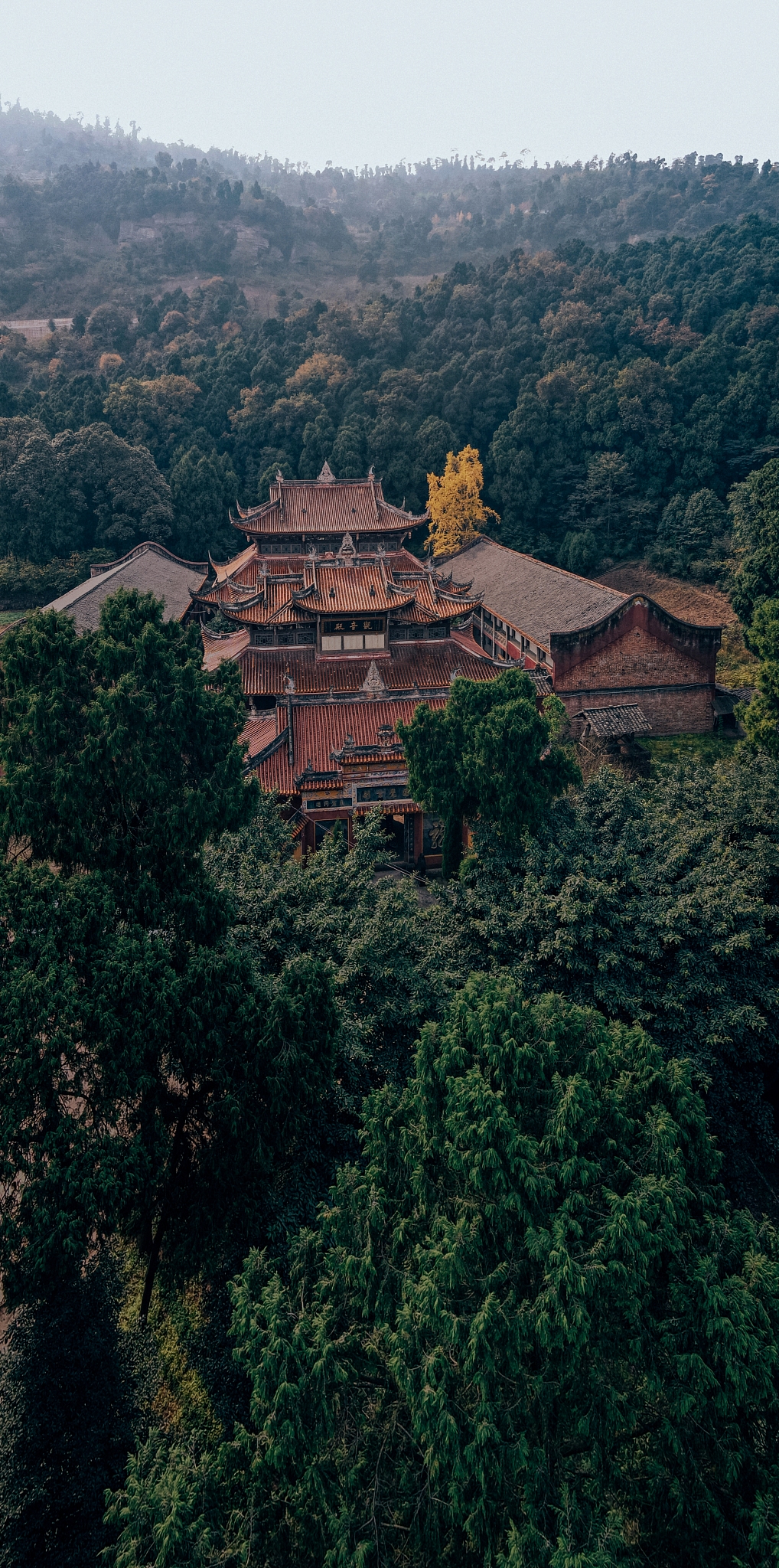 修仙之路：从弱到强的10个霸气名字！