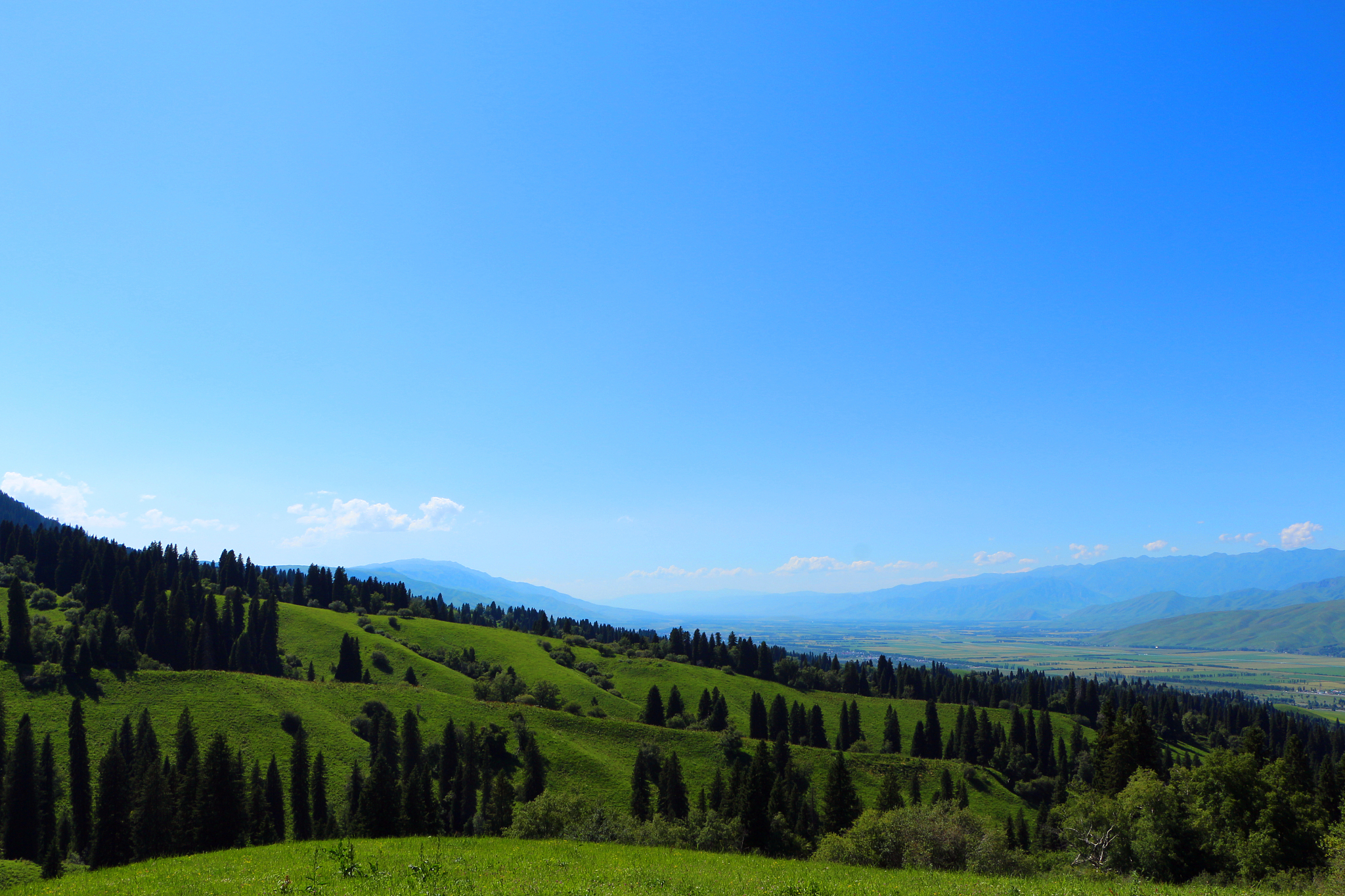 民谣歌曲《在那山的那边》：关于希望、勇气与梦想